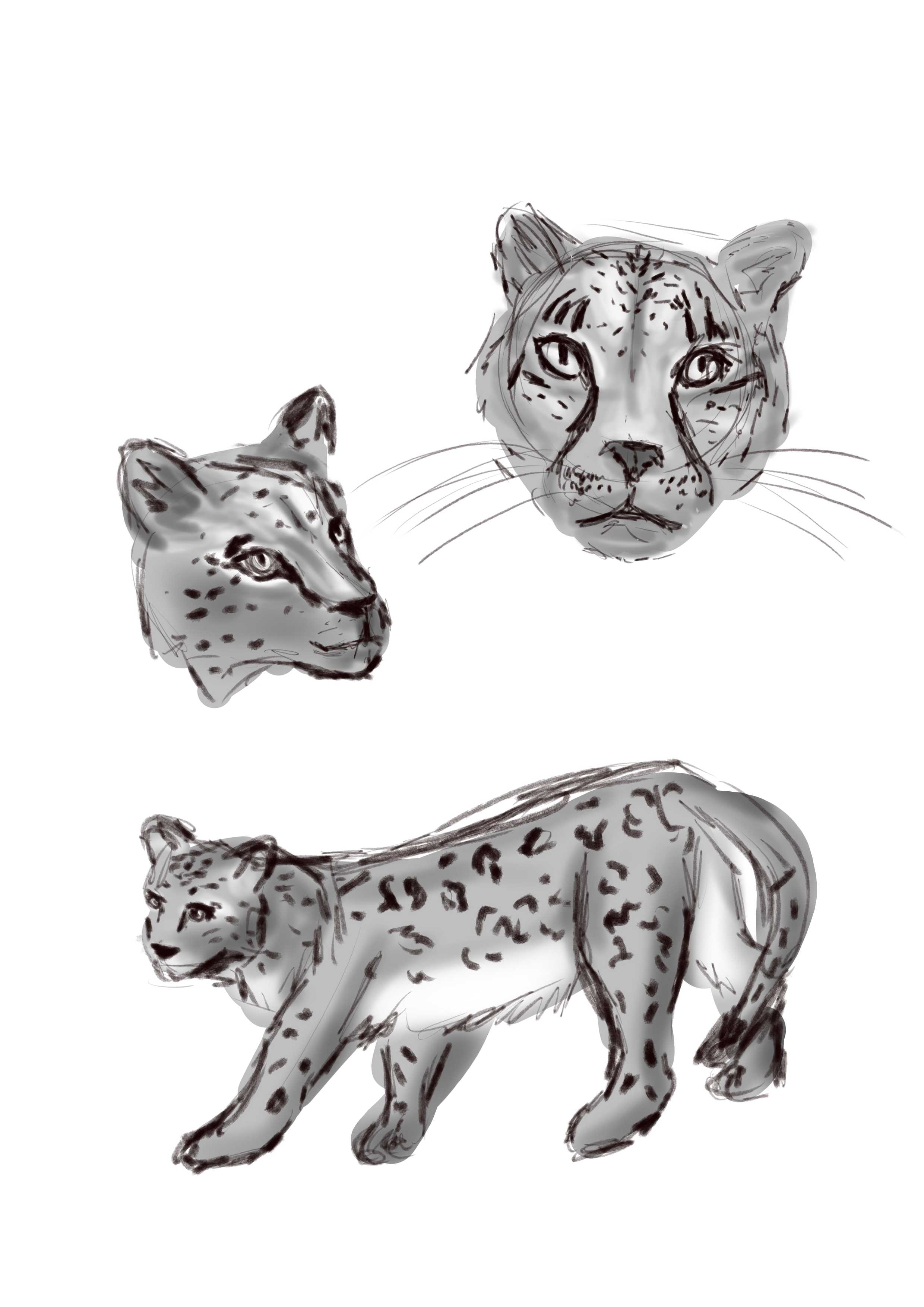 15 mins - 02 avril 2026 par dinaky