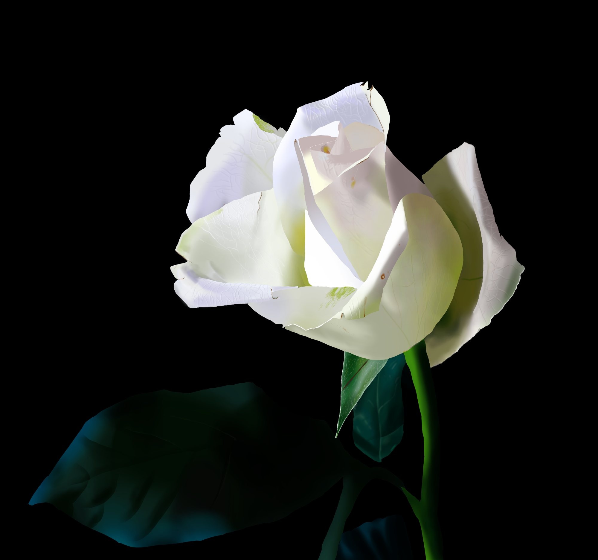 Rose des cours DPS par Miridi
