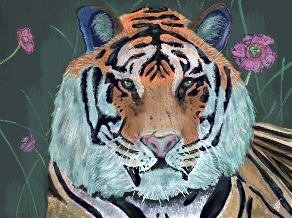 Tigre par Jean-Philippe