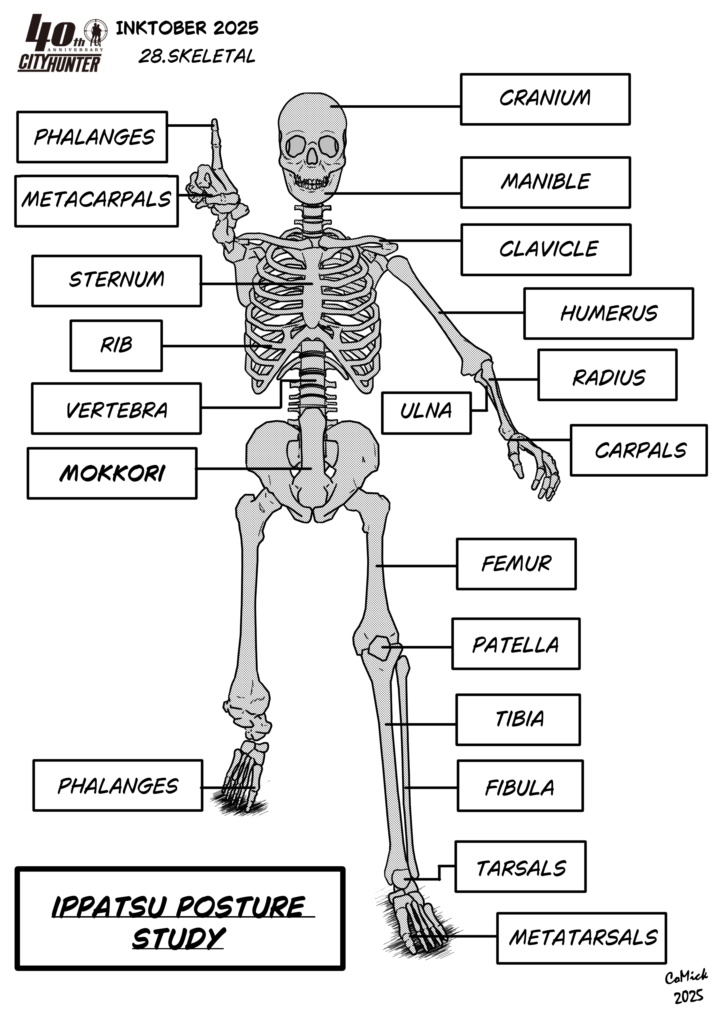 2025_28. Skeletal par comick