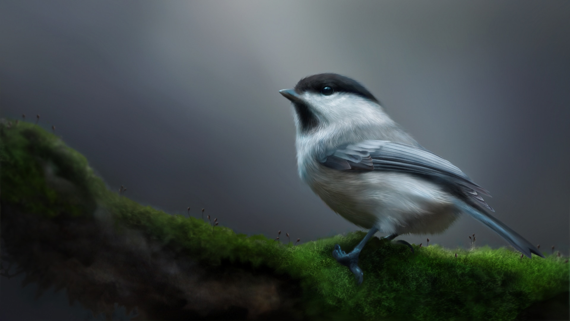 Arcimboldo par Nil Bill