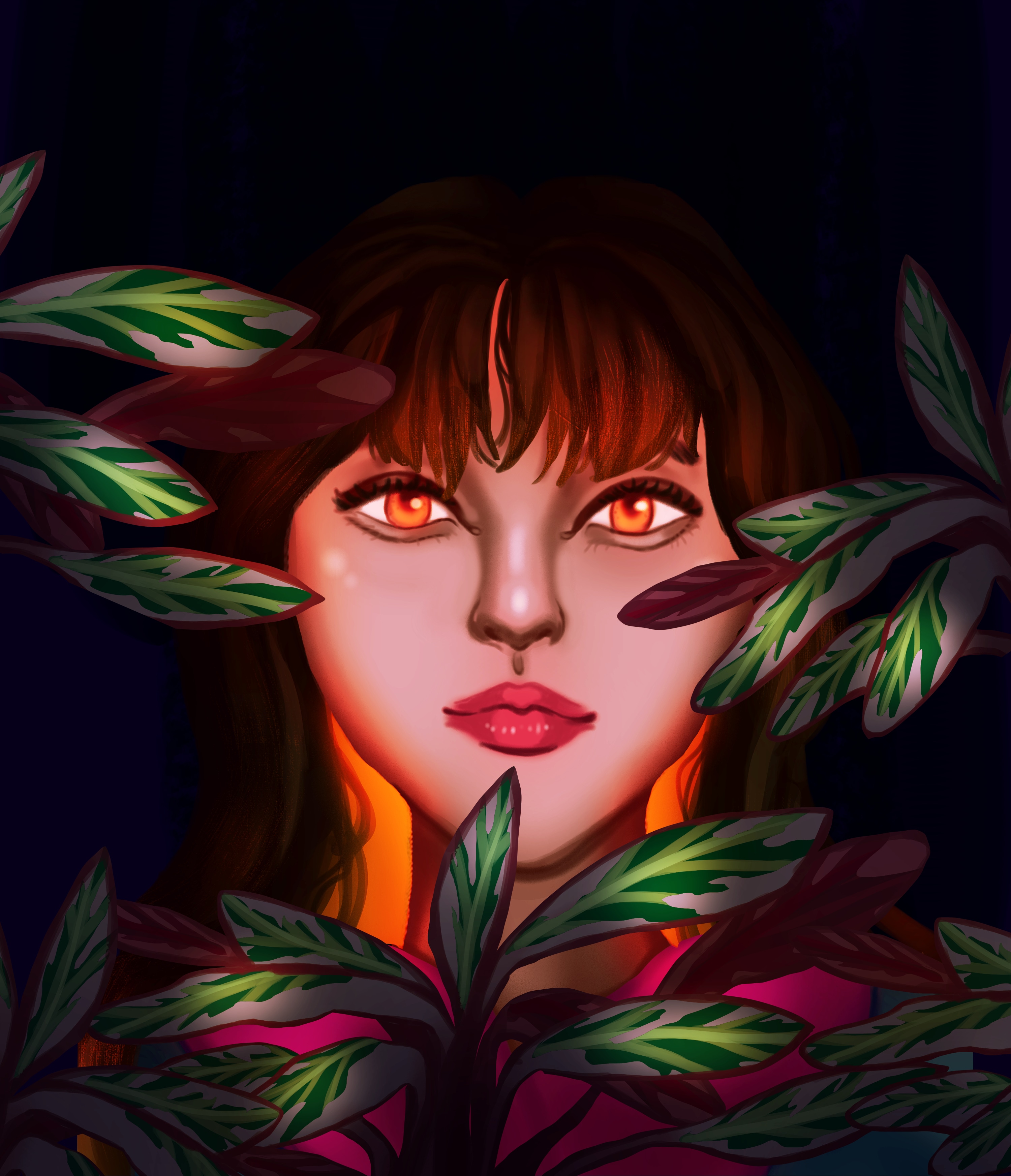 2/30 Portrait Calathea Triostar 🪴 par Lagoon Feather