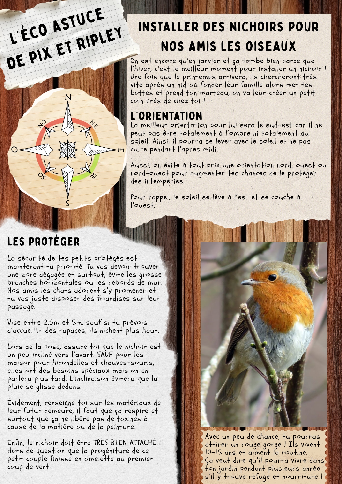 Aider les oiseaux en 2026 ! par Mad Pixelle