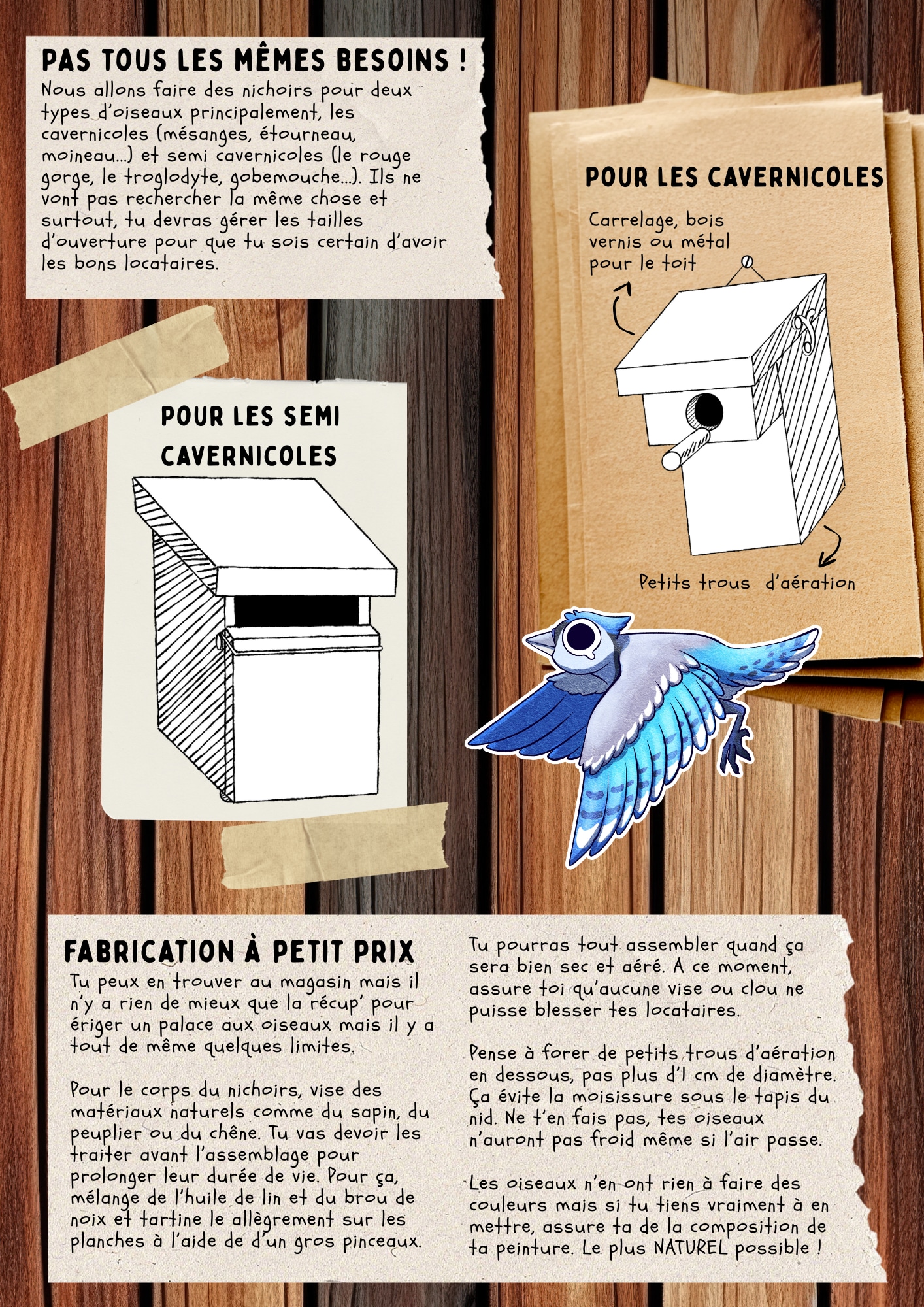 Aider les oiseaux en 2026 ! par Mad Pixelle