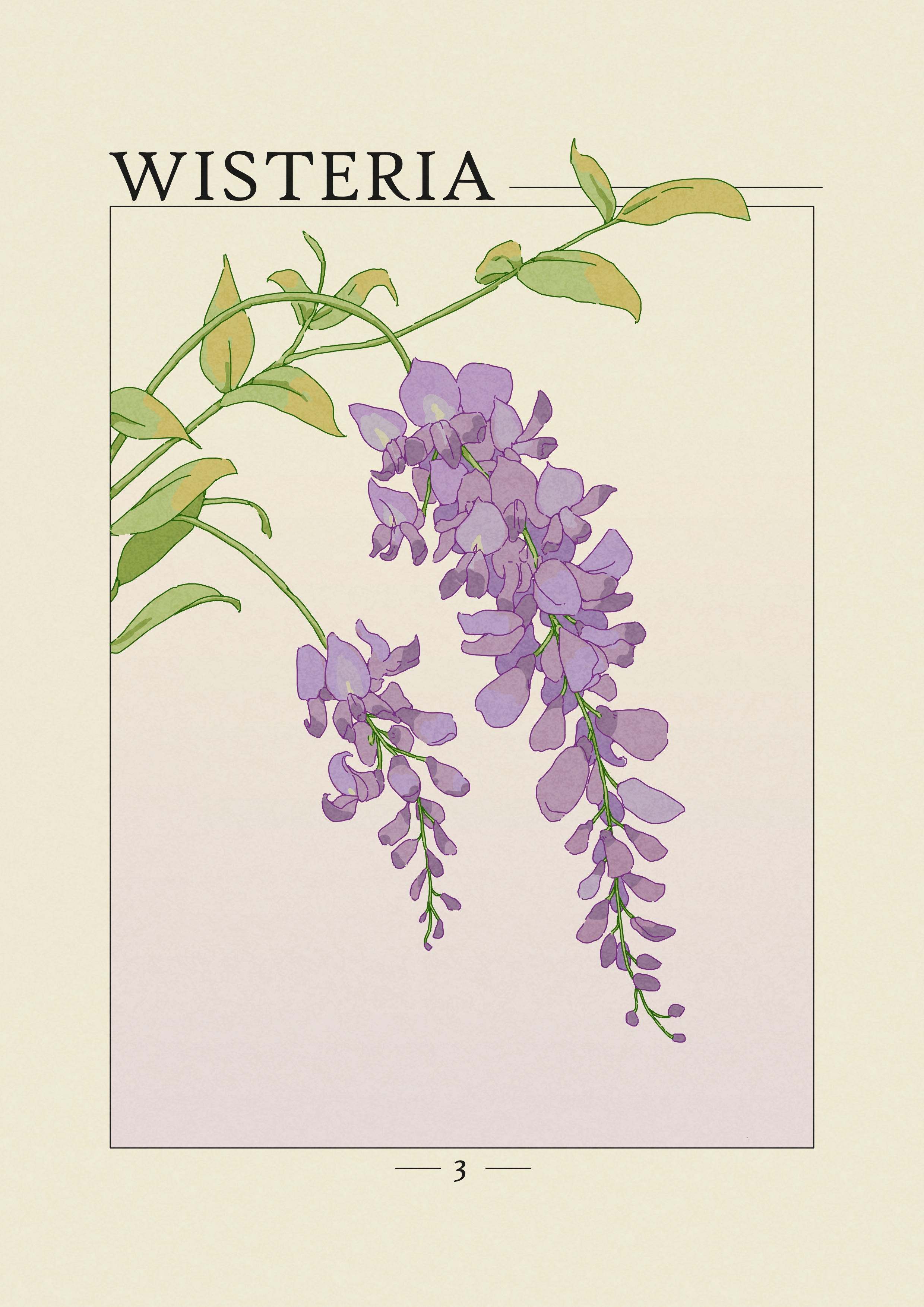 Projet Herbier par agingermoth