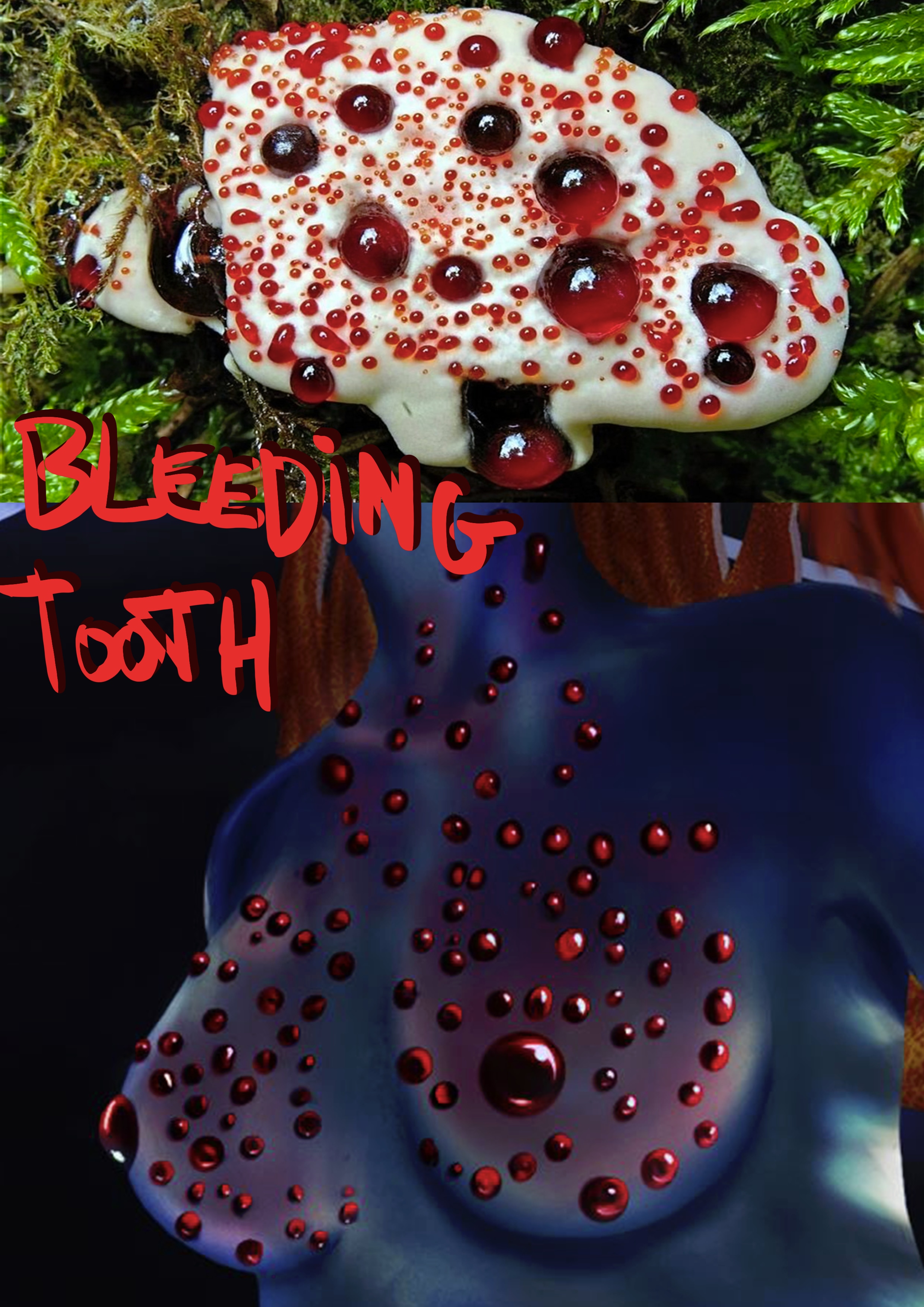 Mushroom Soul par Sliv