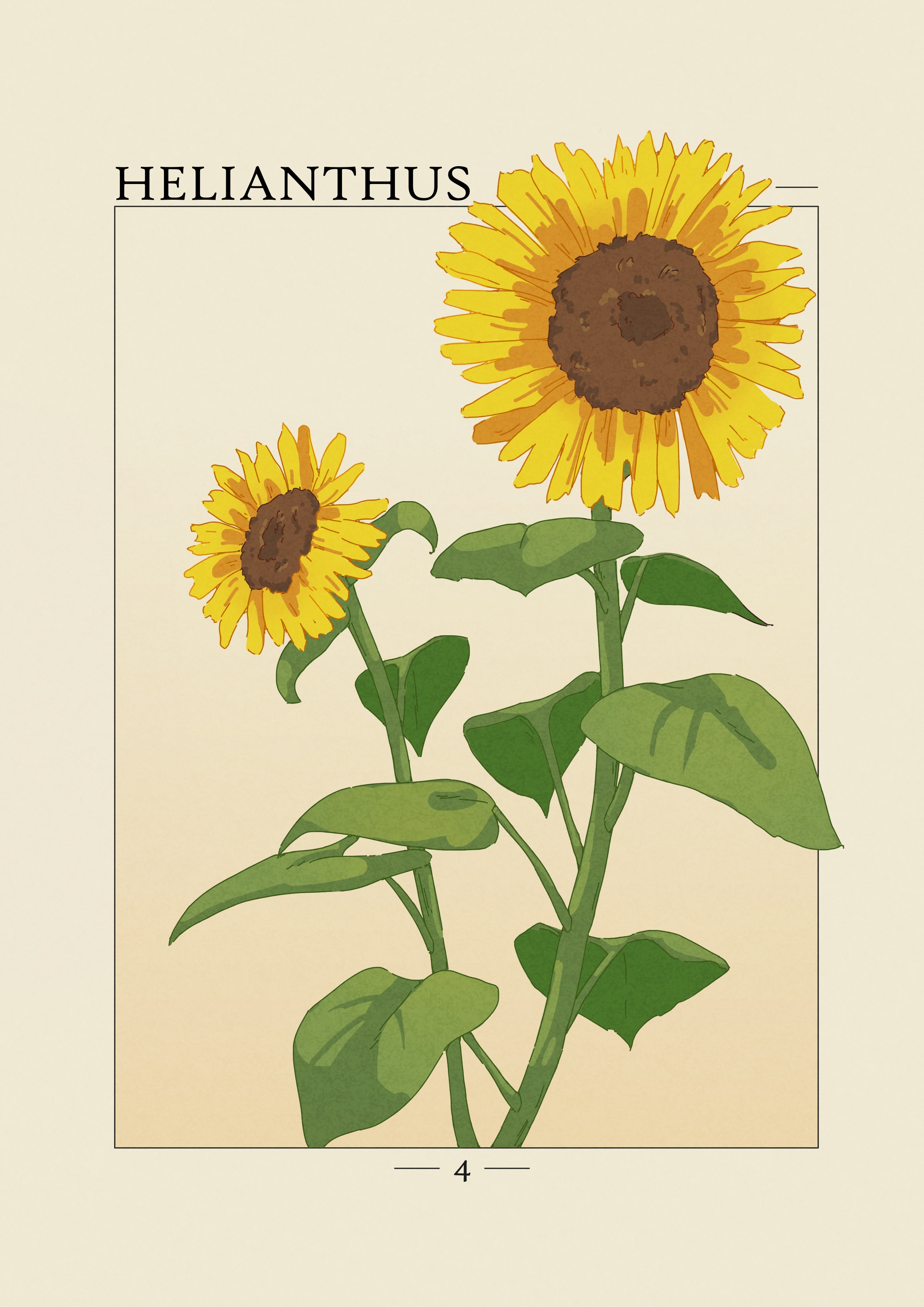 Projet Herbier par agingermoth