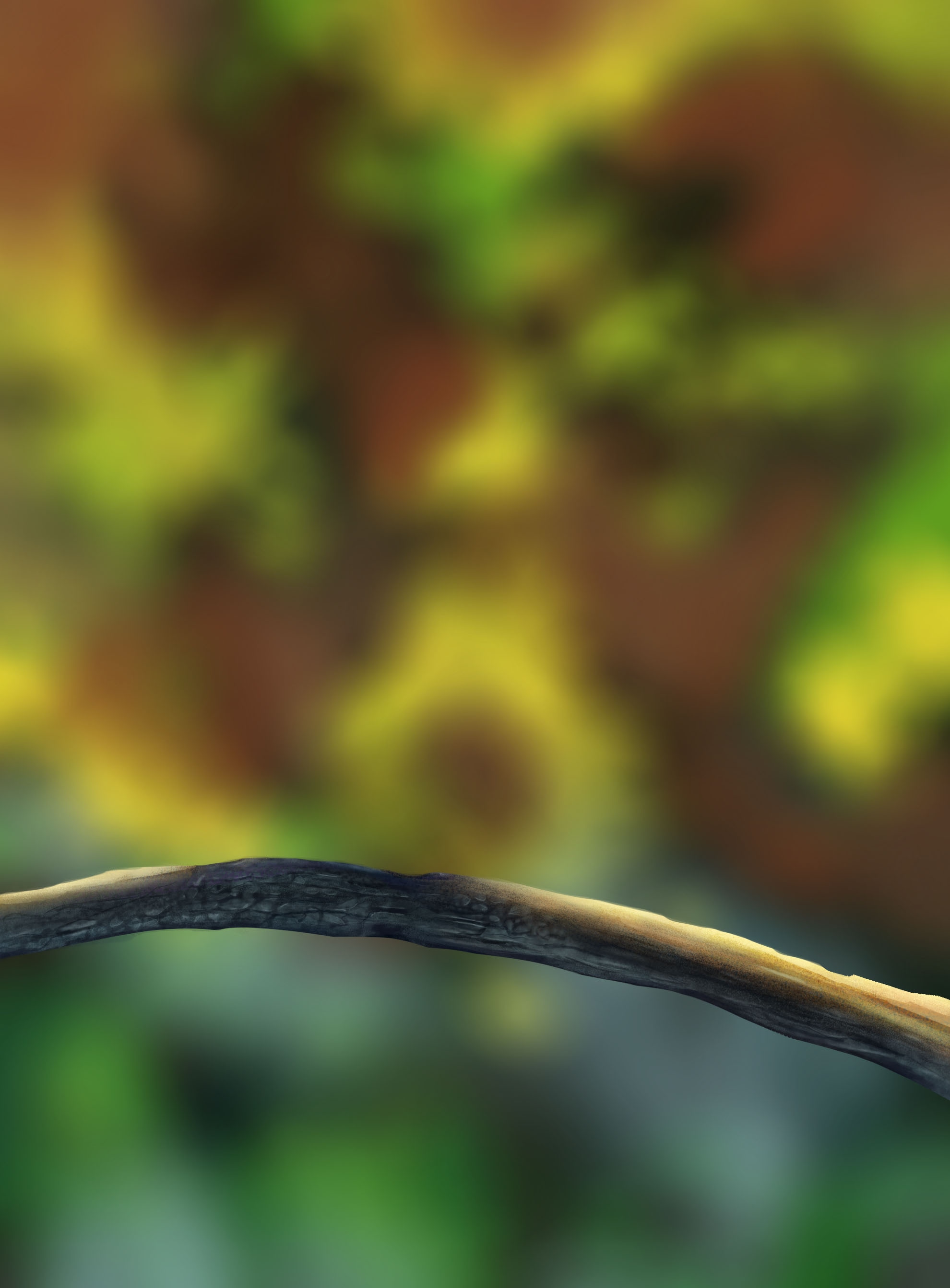 Chapitre 1 : Exercice 5 par jyggalag