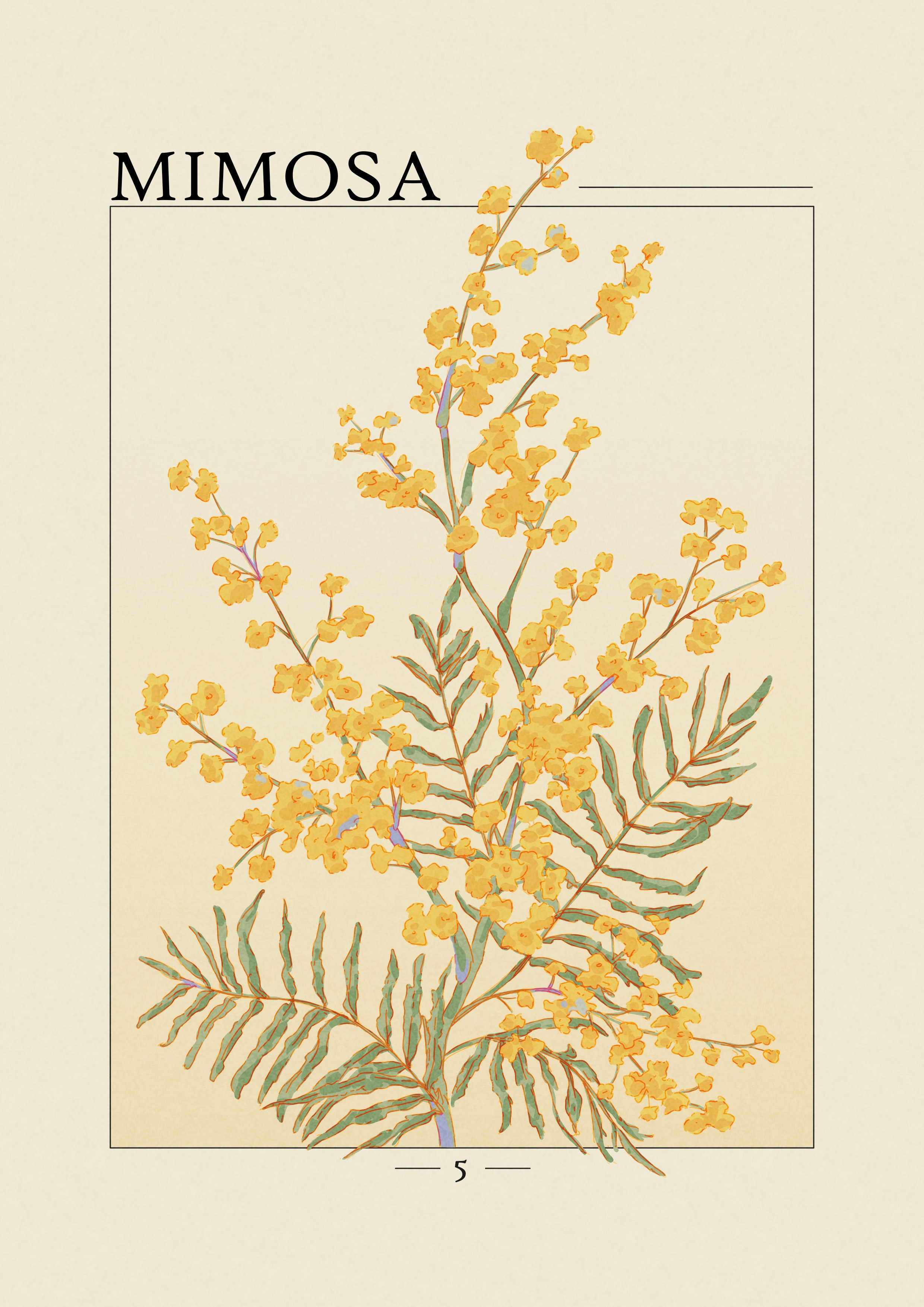 Projet Herbier par agingermoth