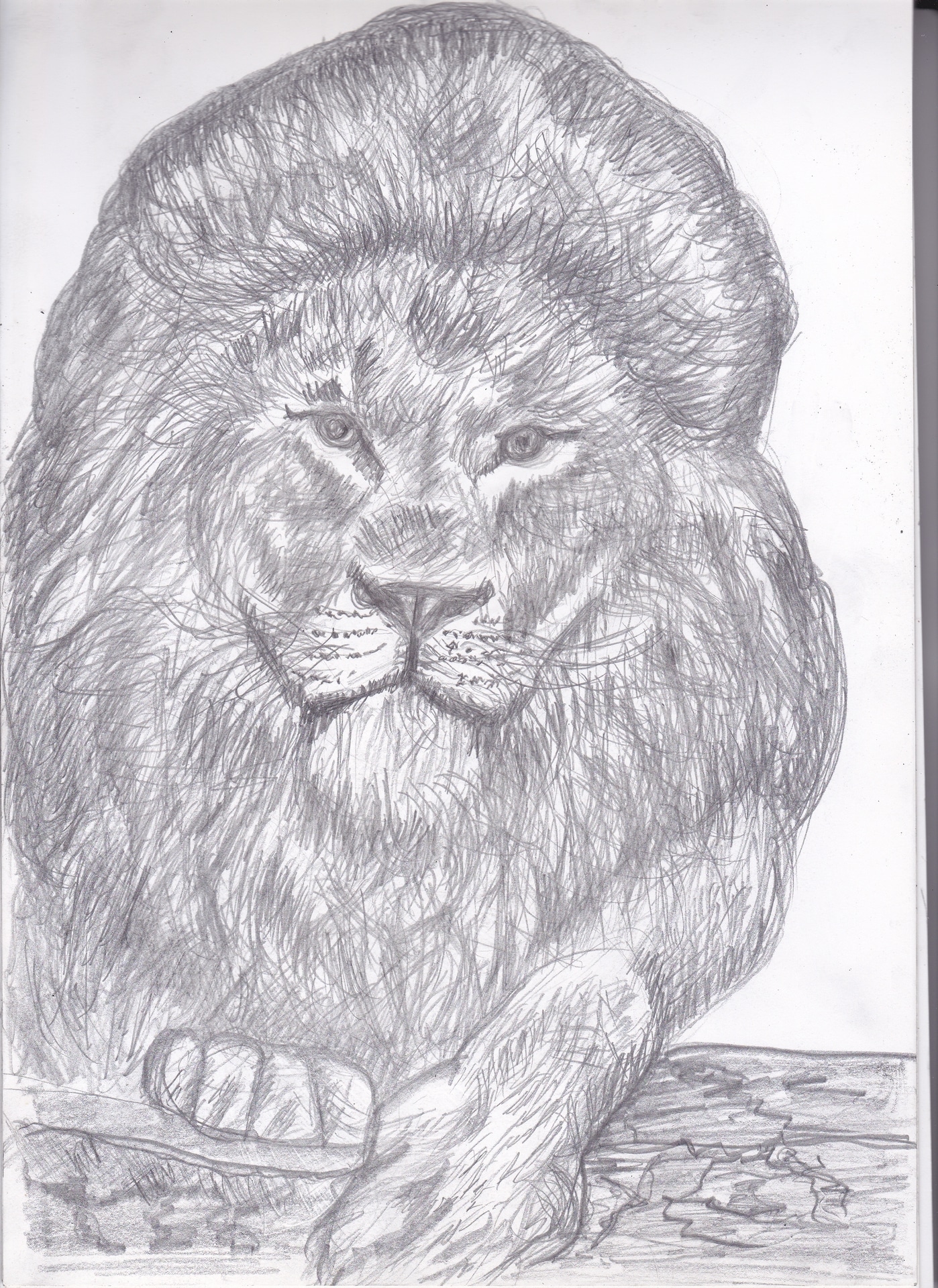 Croquis en traditionnel par starman