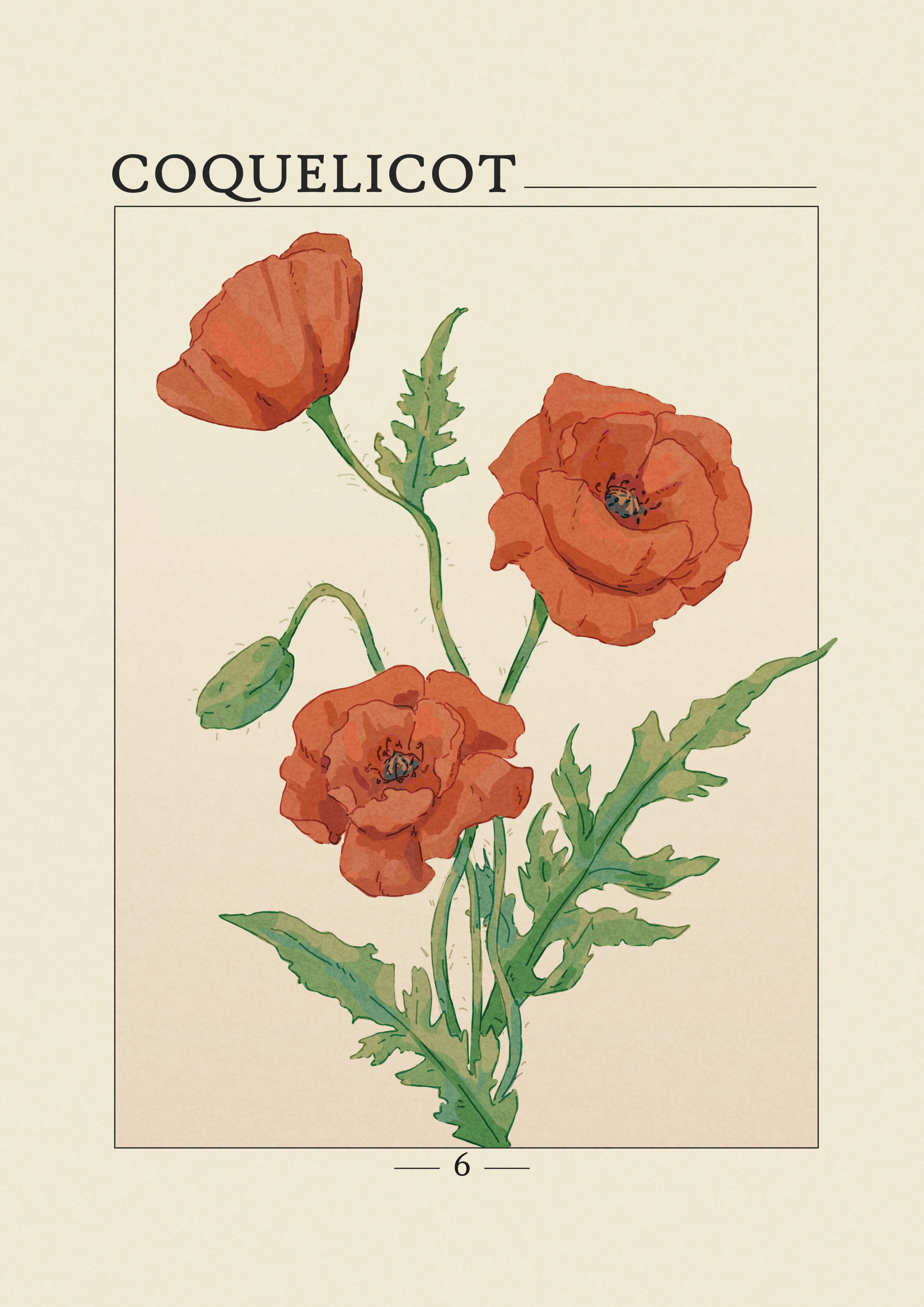 Projet Herbier par agingermoth