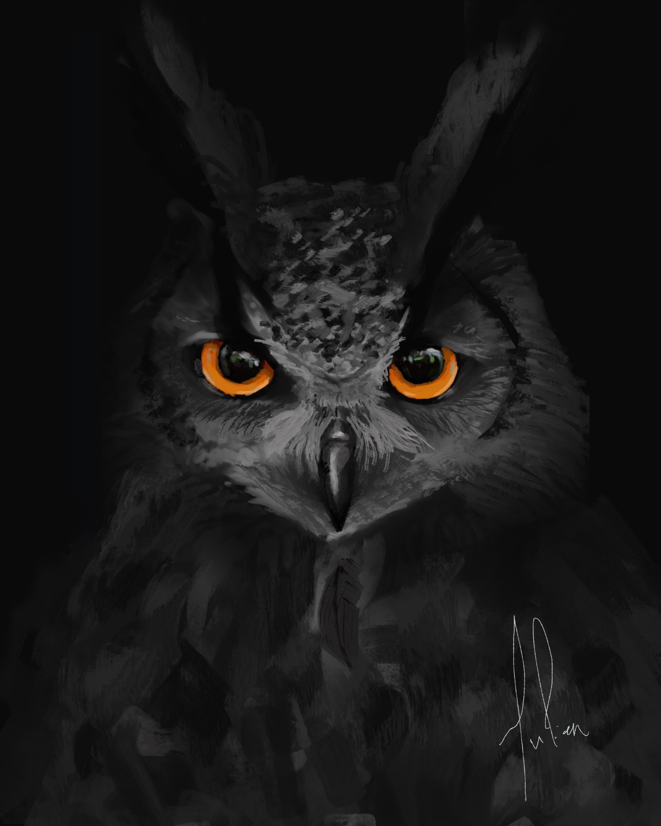 Wildlife Study par JulienVougaz
