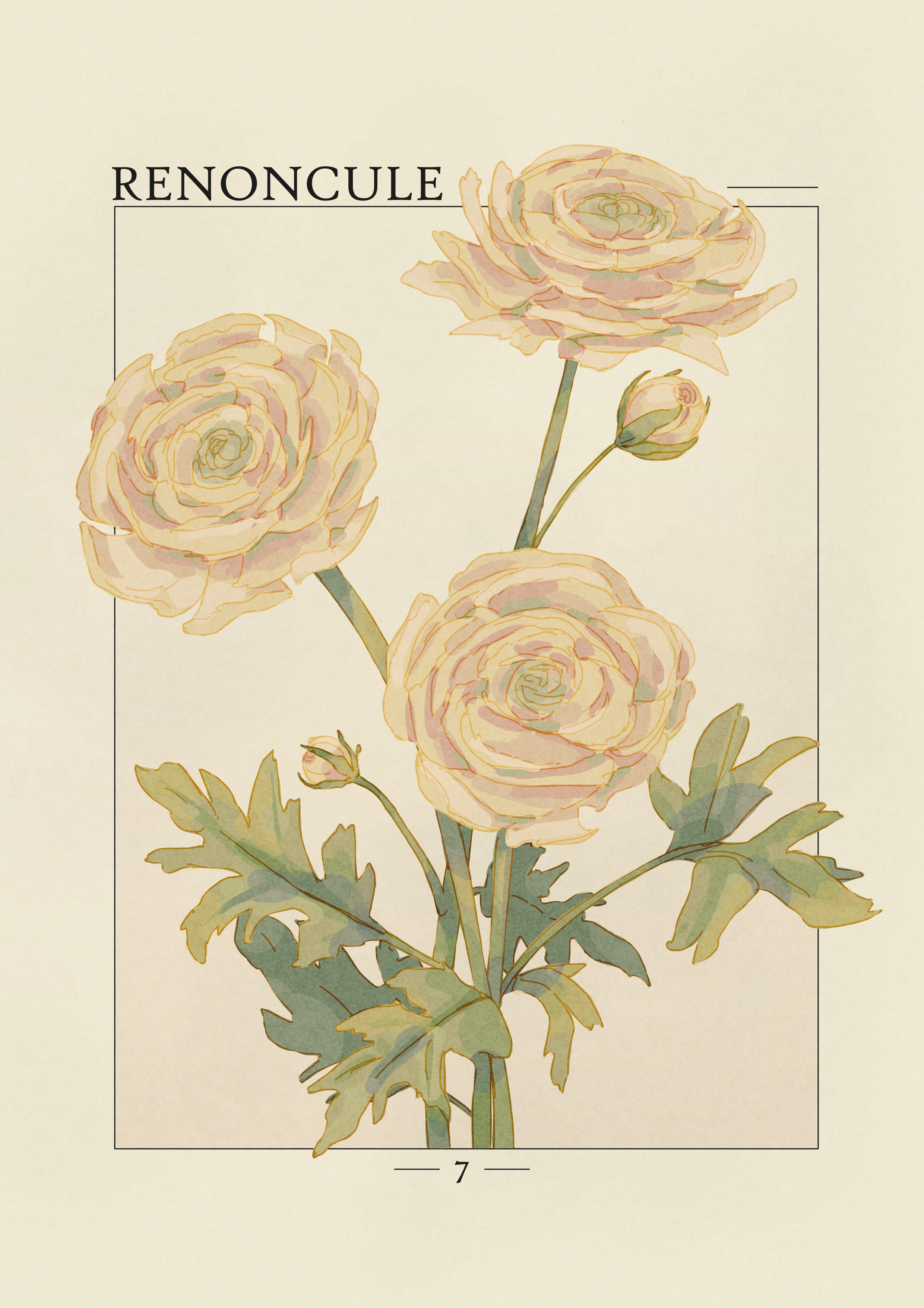Projet Herbier par agingermoth