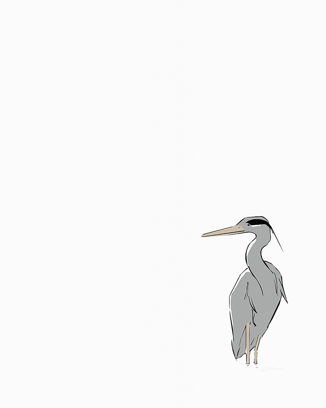 Heron par Flo