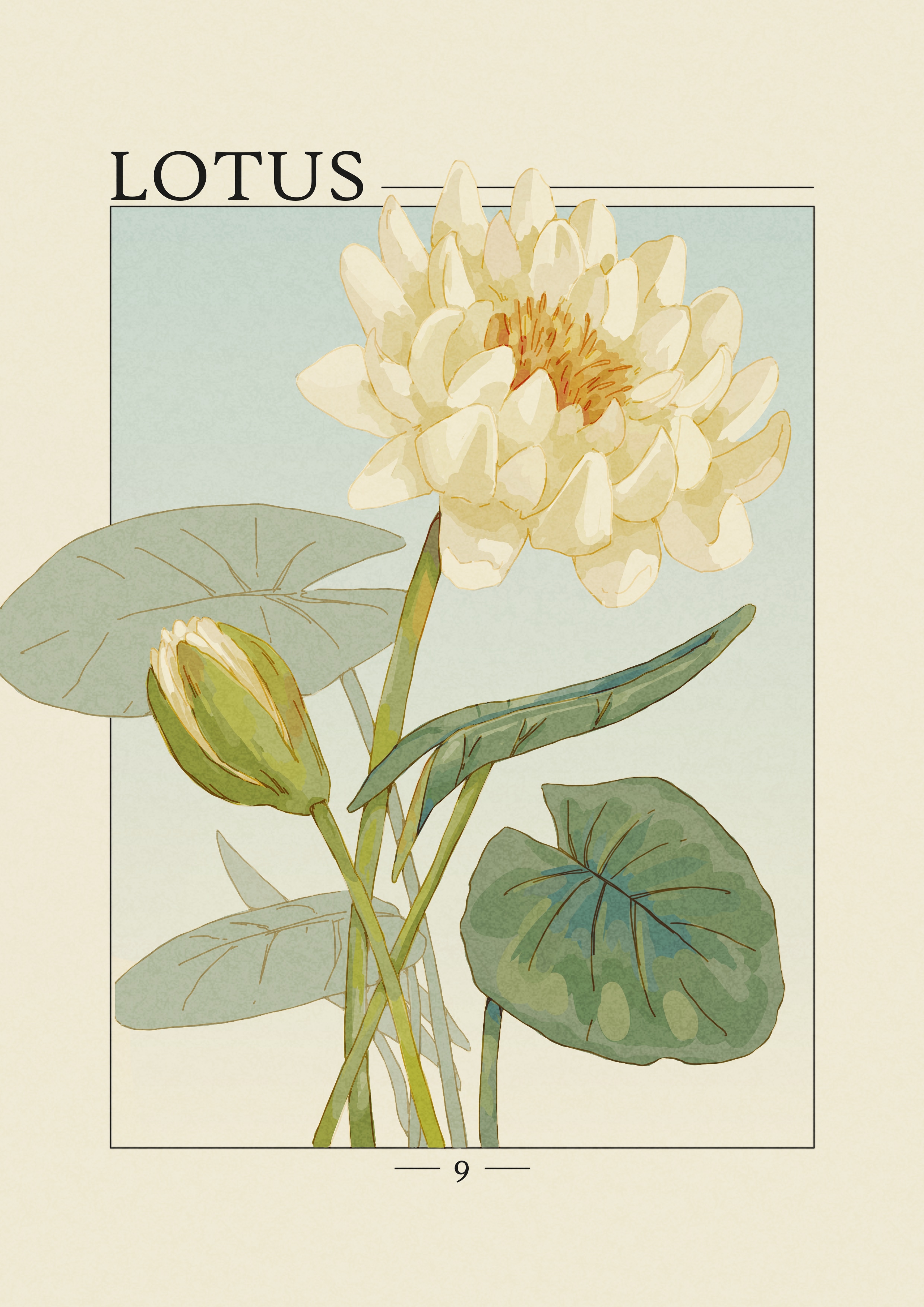 Projet Herbier par agingermoth