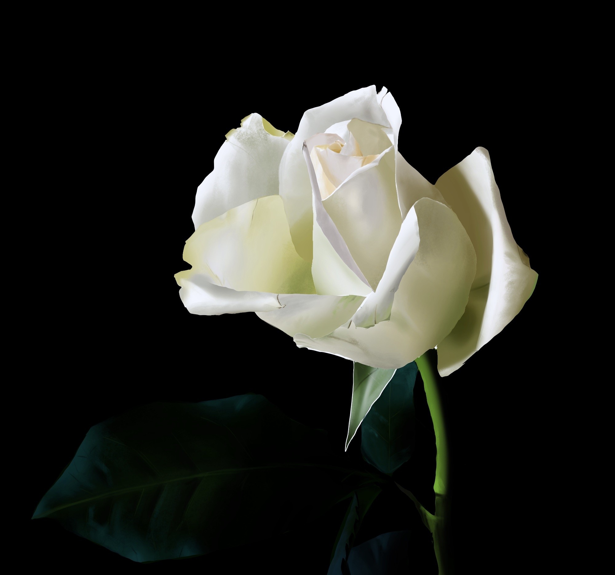 9B99C775-B582-4DE8-86AE-FE2DBC4879F7 par Marysteam