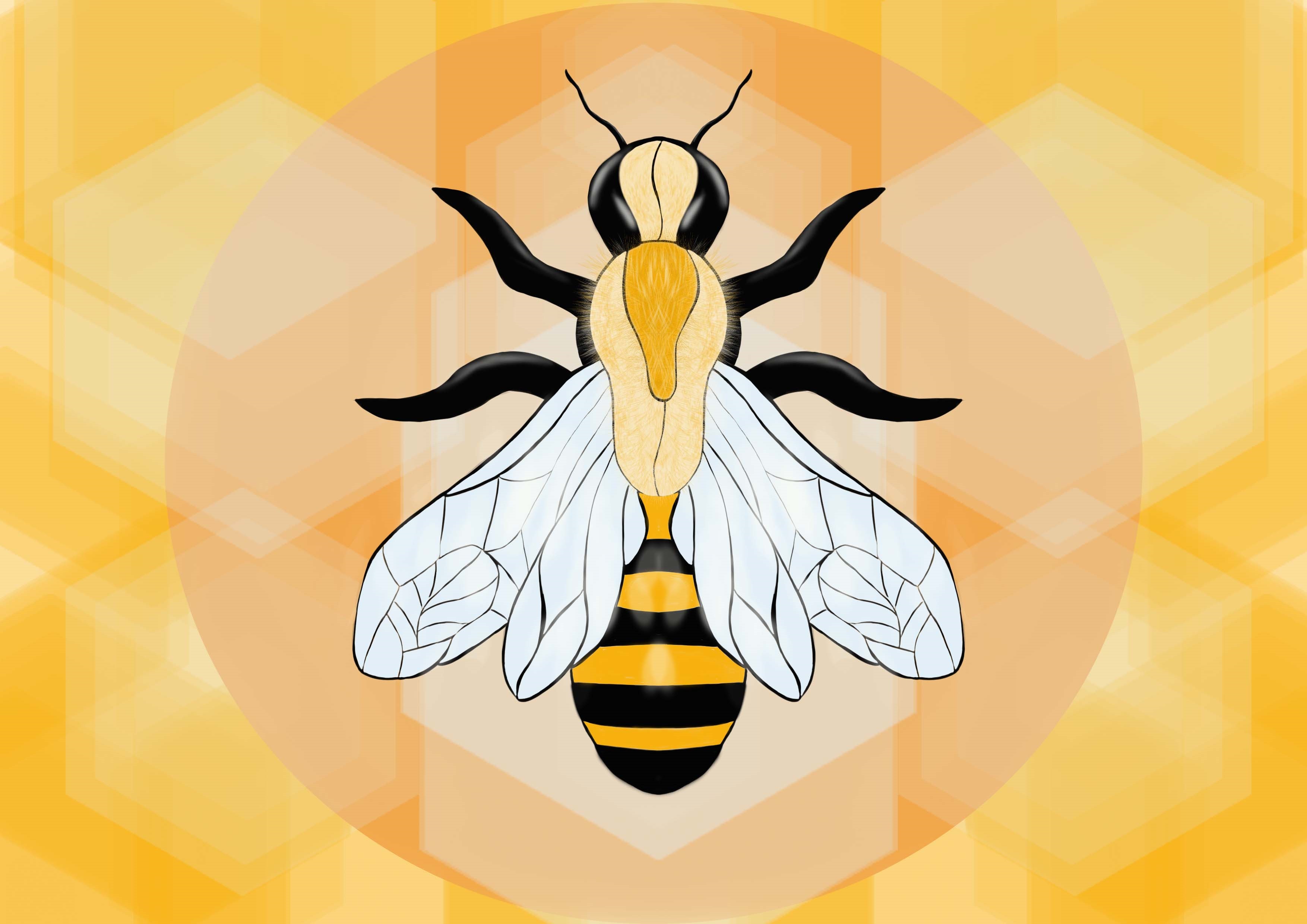 abeille par camchevillot