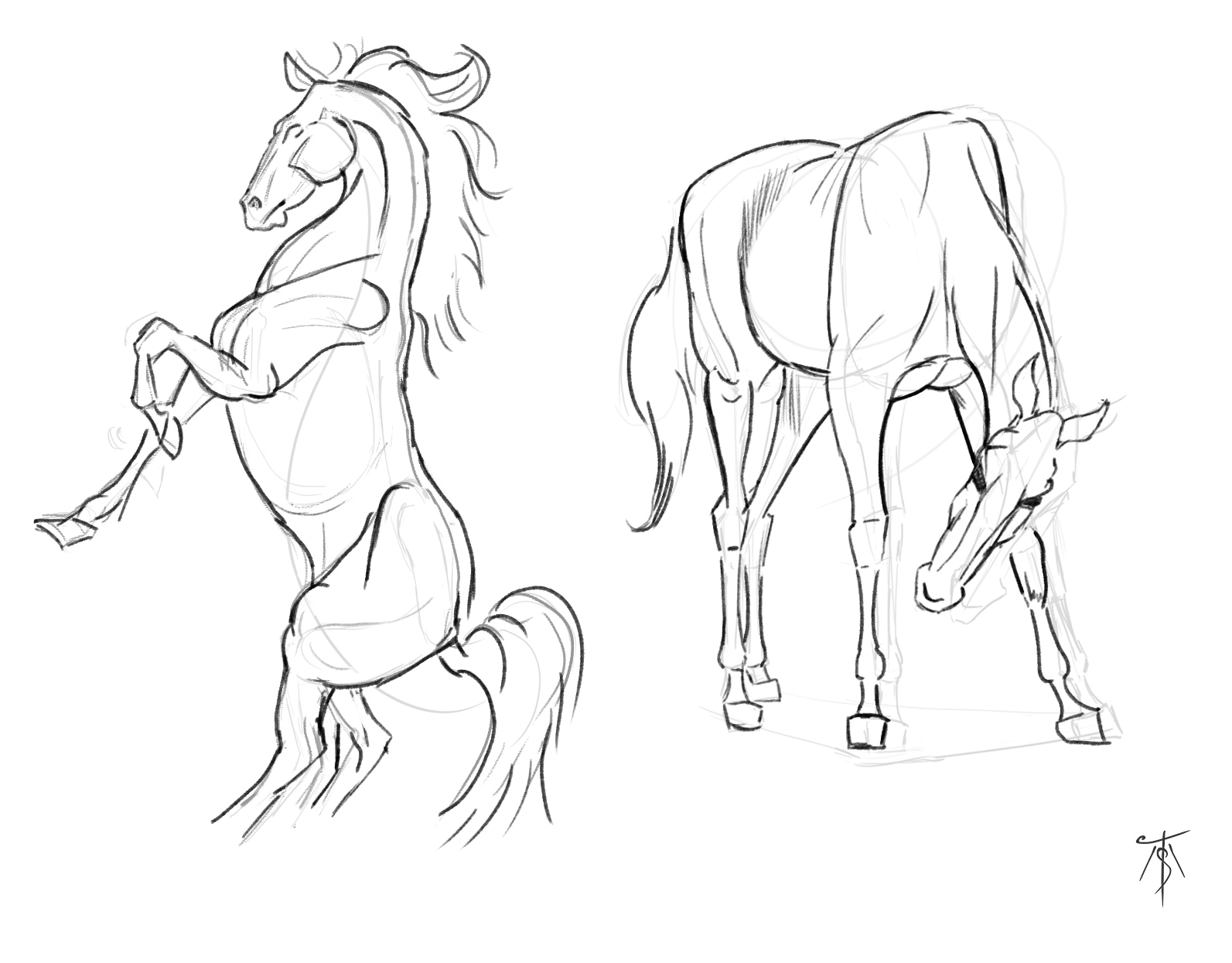 Sketches Chevaux par Taliesin
