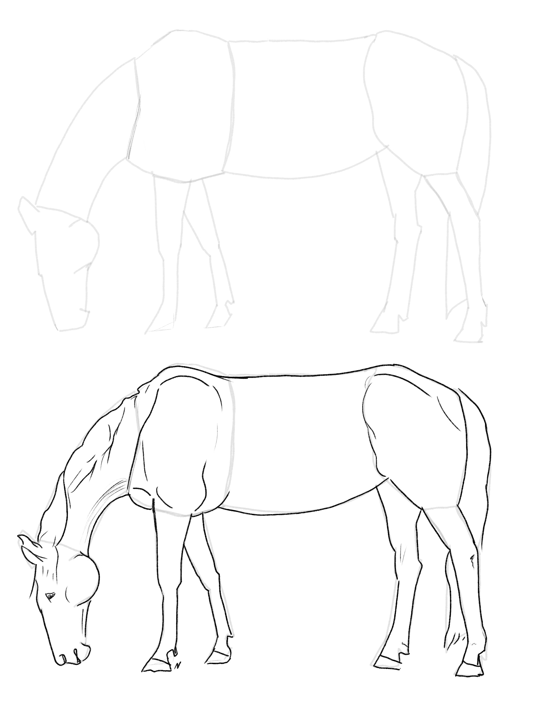 Sketches Chevaux par Taliesin