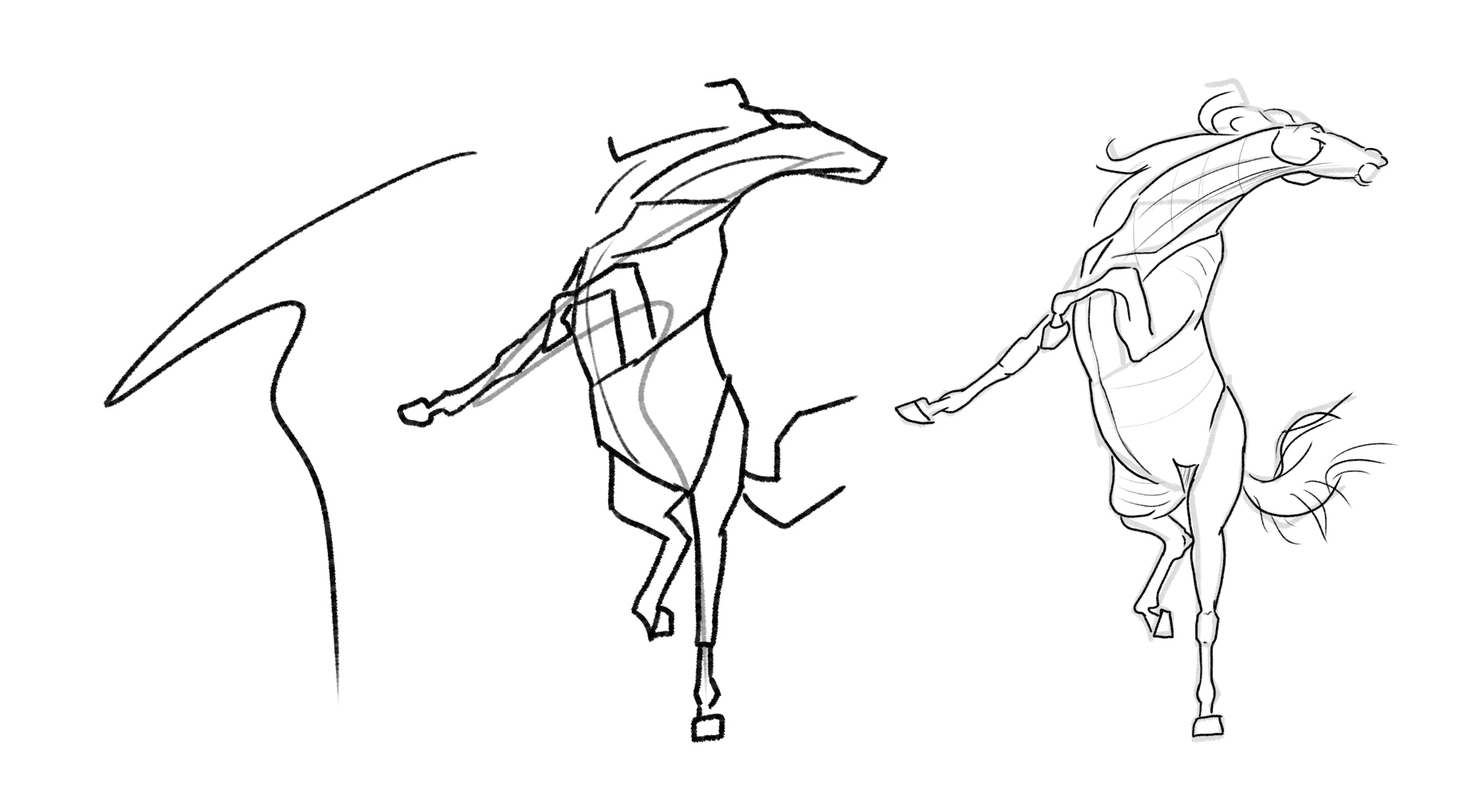Sketches Chevaux par Taliesin