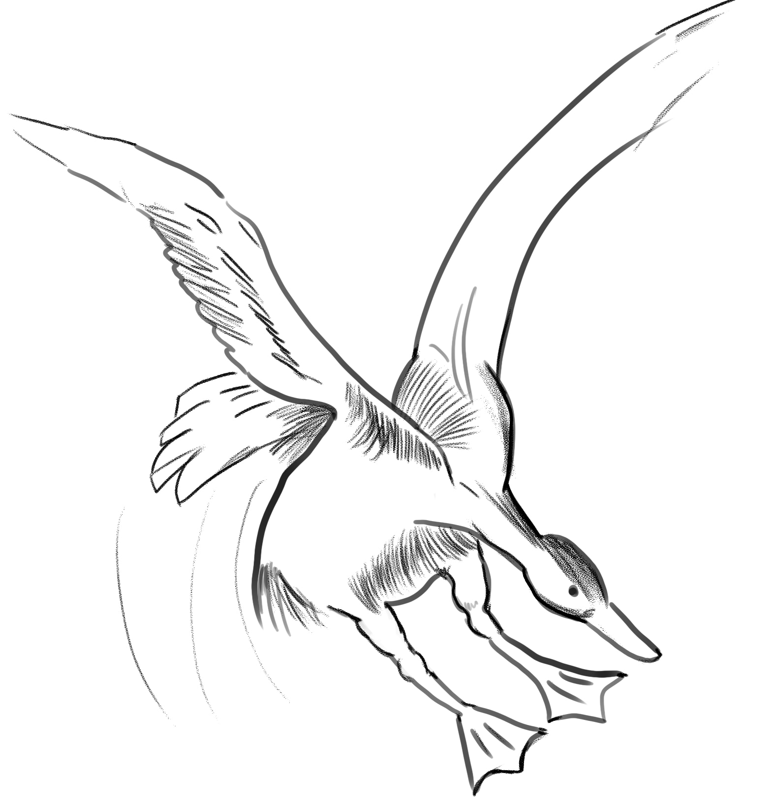 Sketches Palmipèdes par Taliesin