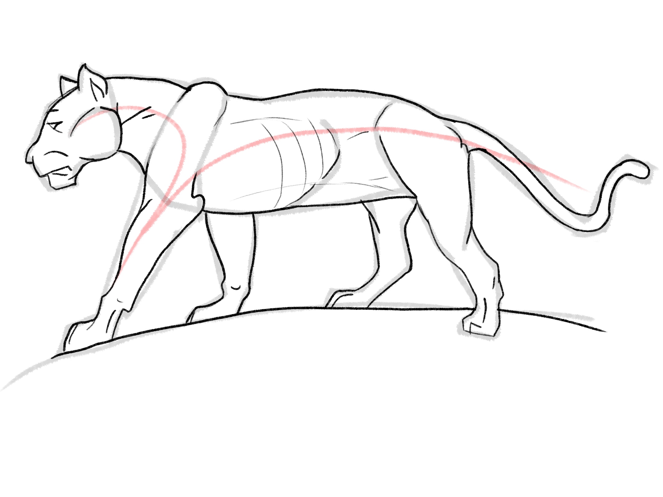 Sketches Félidés par Taliesin