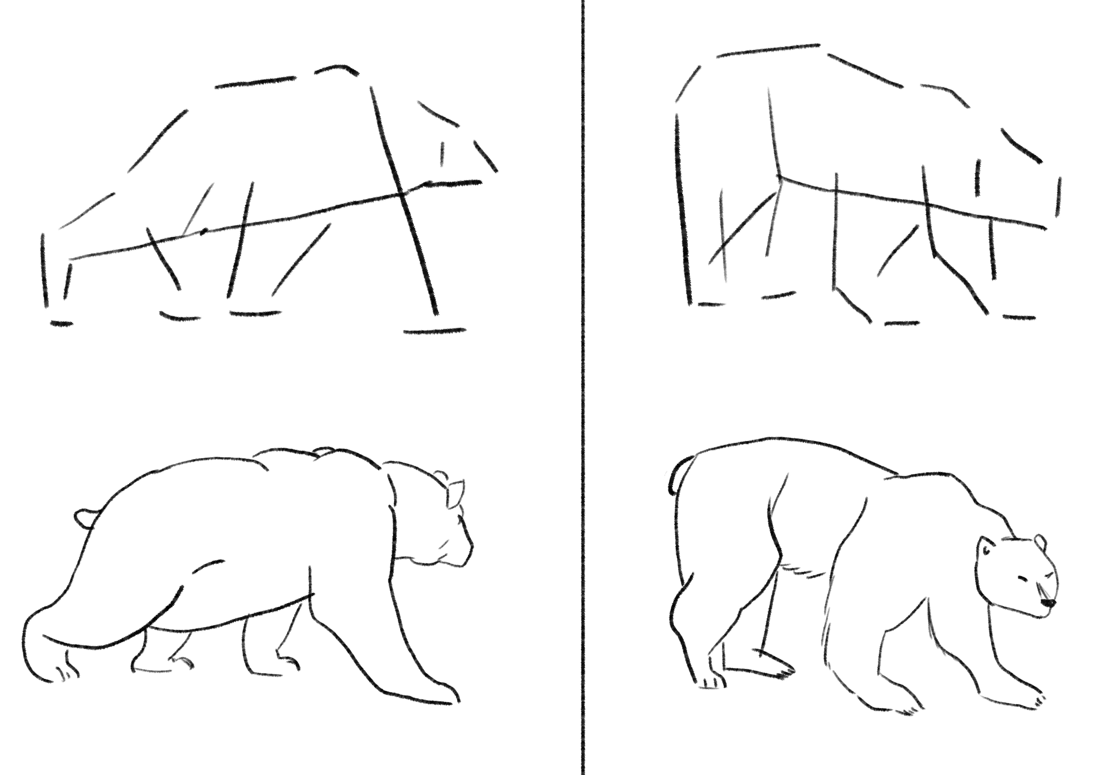 Sketches Ursidés par Taliesin