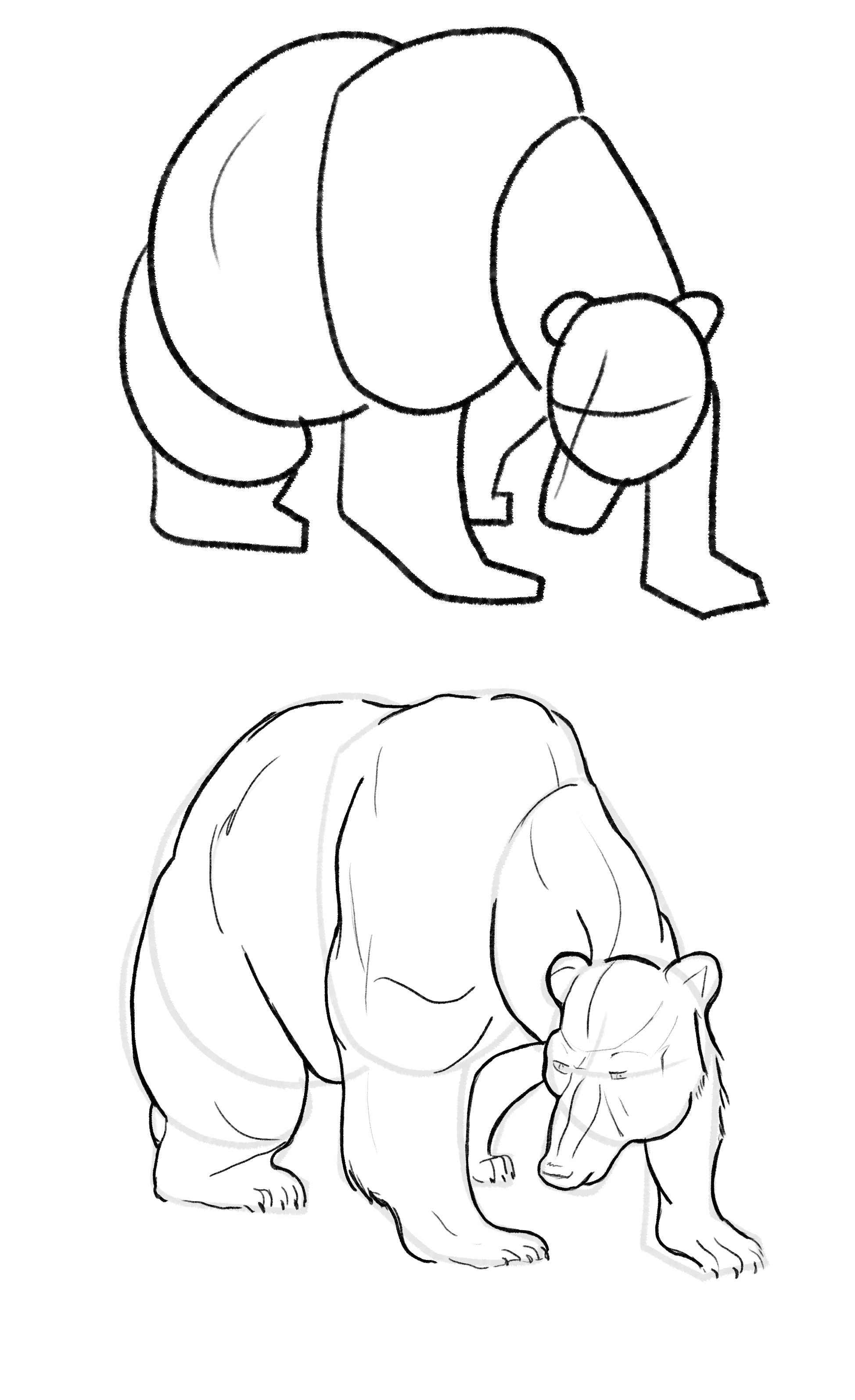 Sketches Ursidés par Taliesin