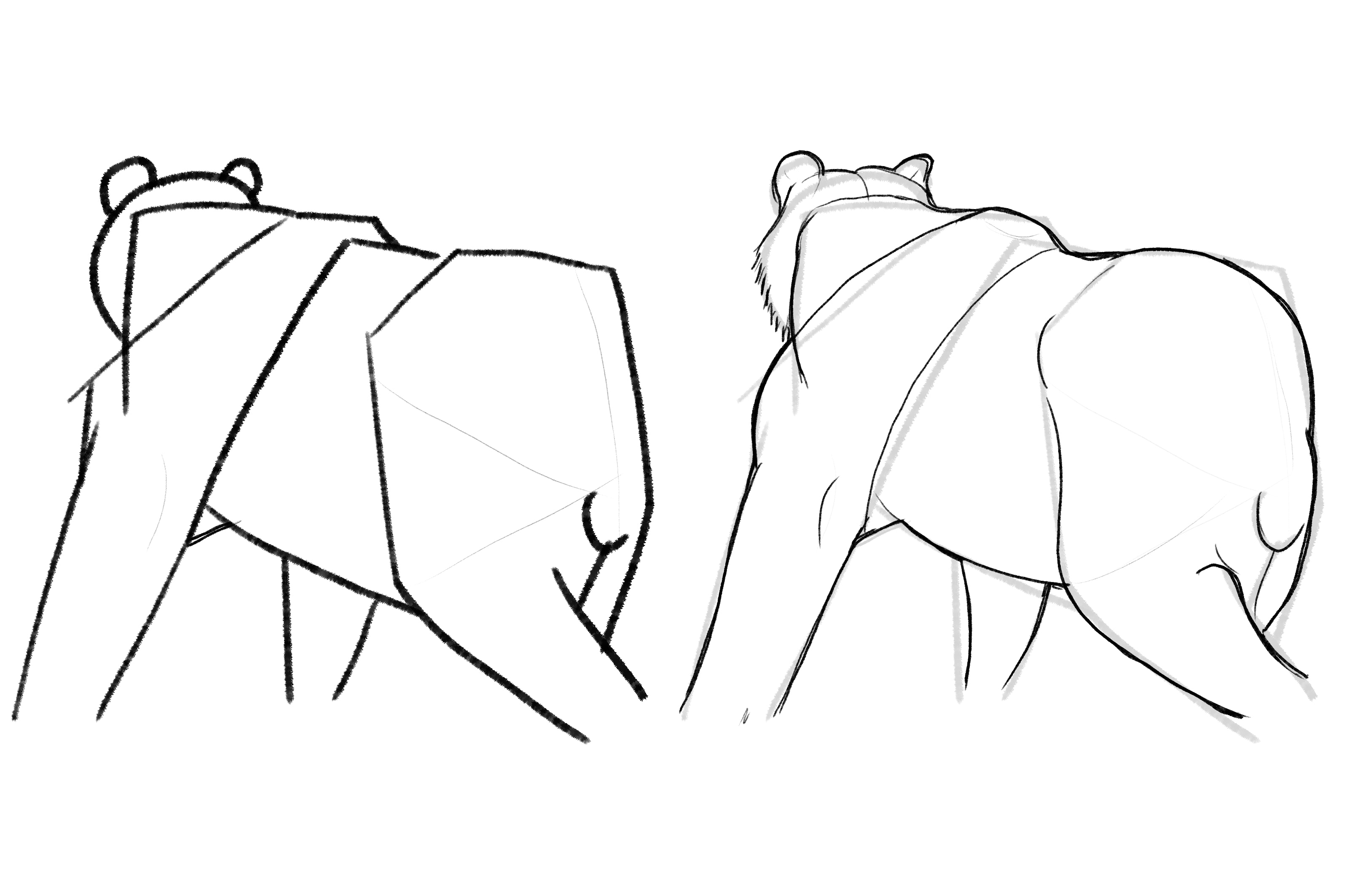 Sketches Ursidés par Taliesin