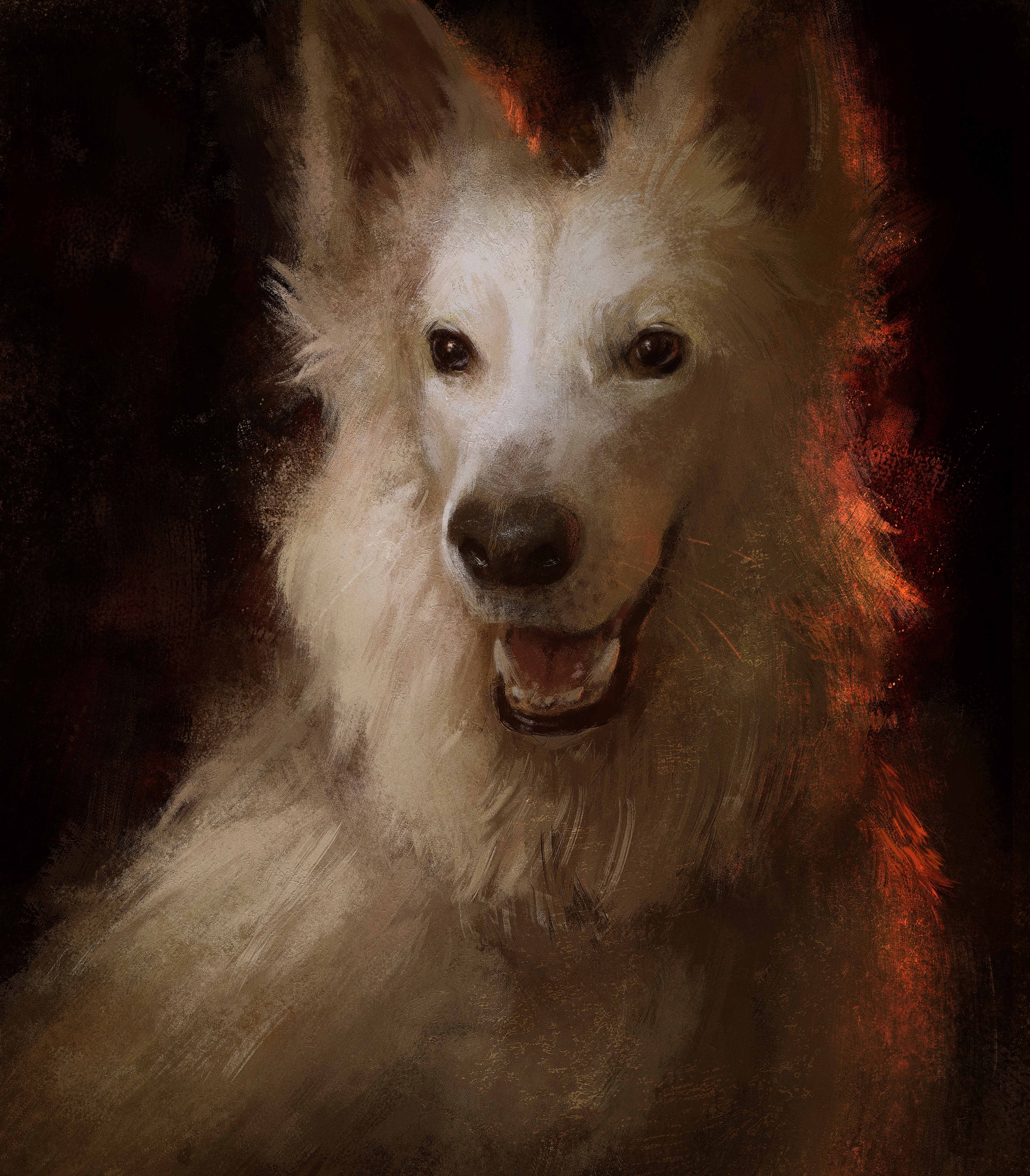 Dog Portrait par Chapi
