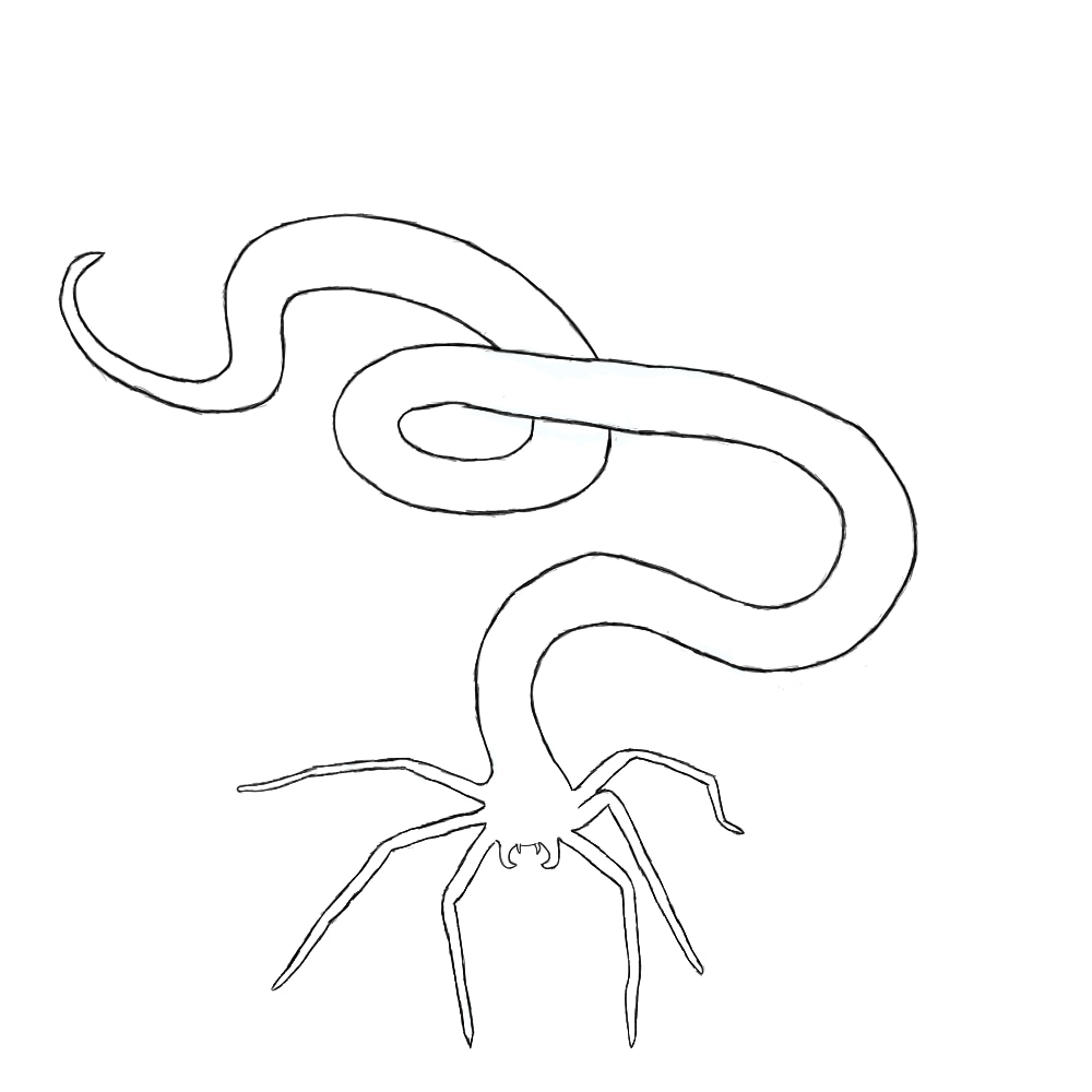araigné serpent par NoéArthurMlg