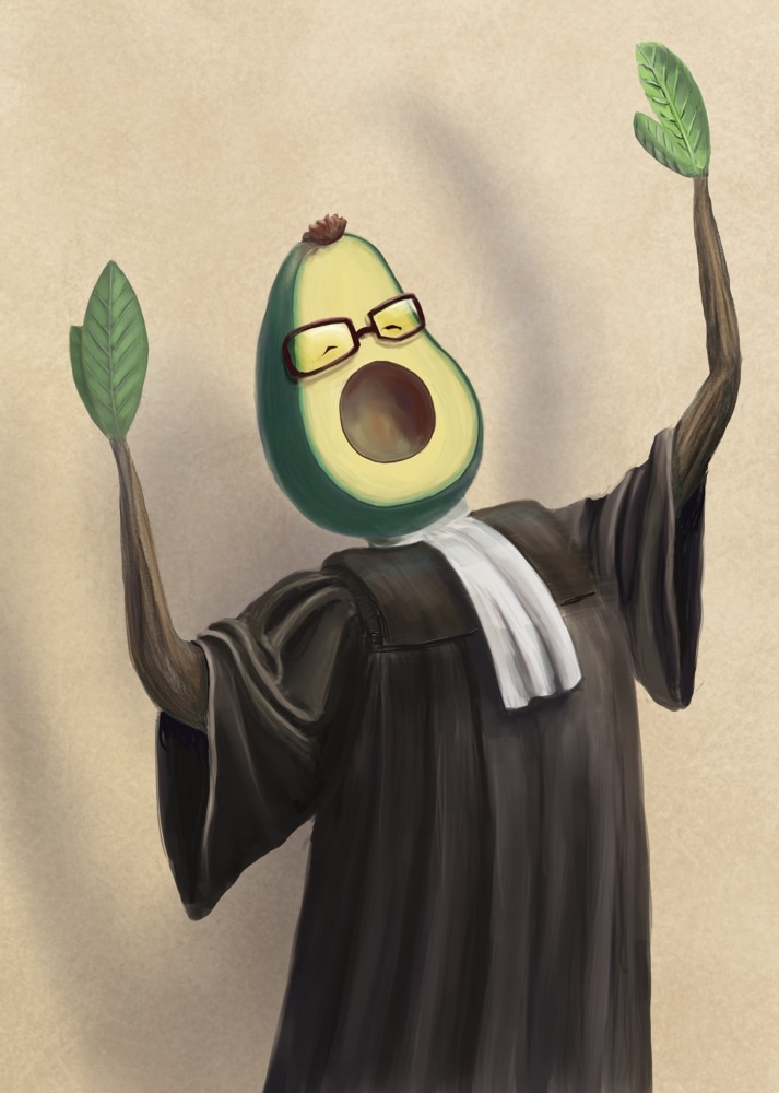 Avocat ou avocat ? par Natura