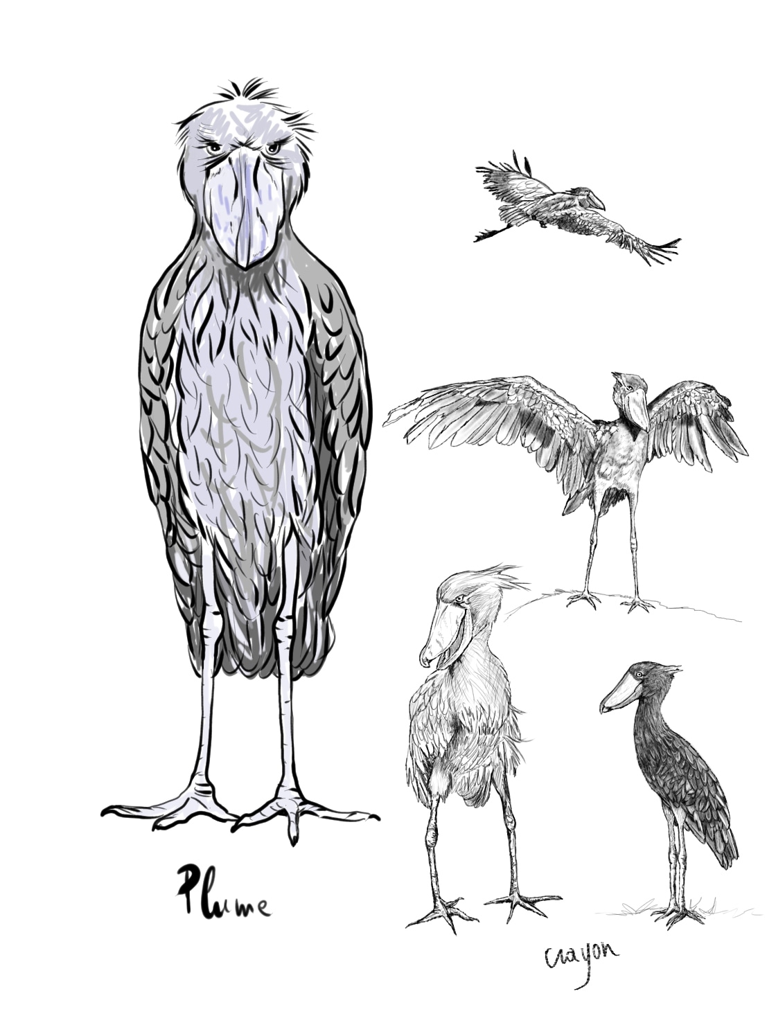 Le monde animal par MLD