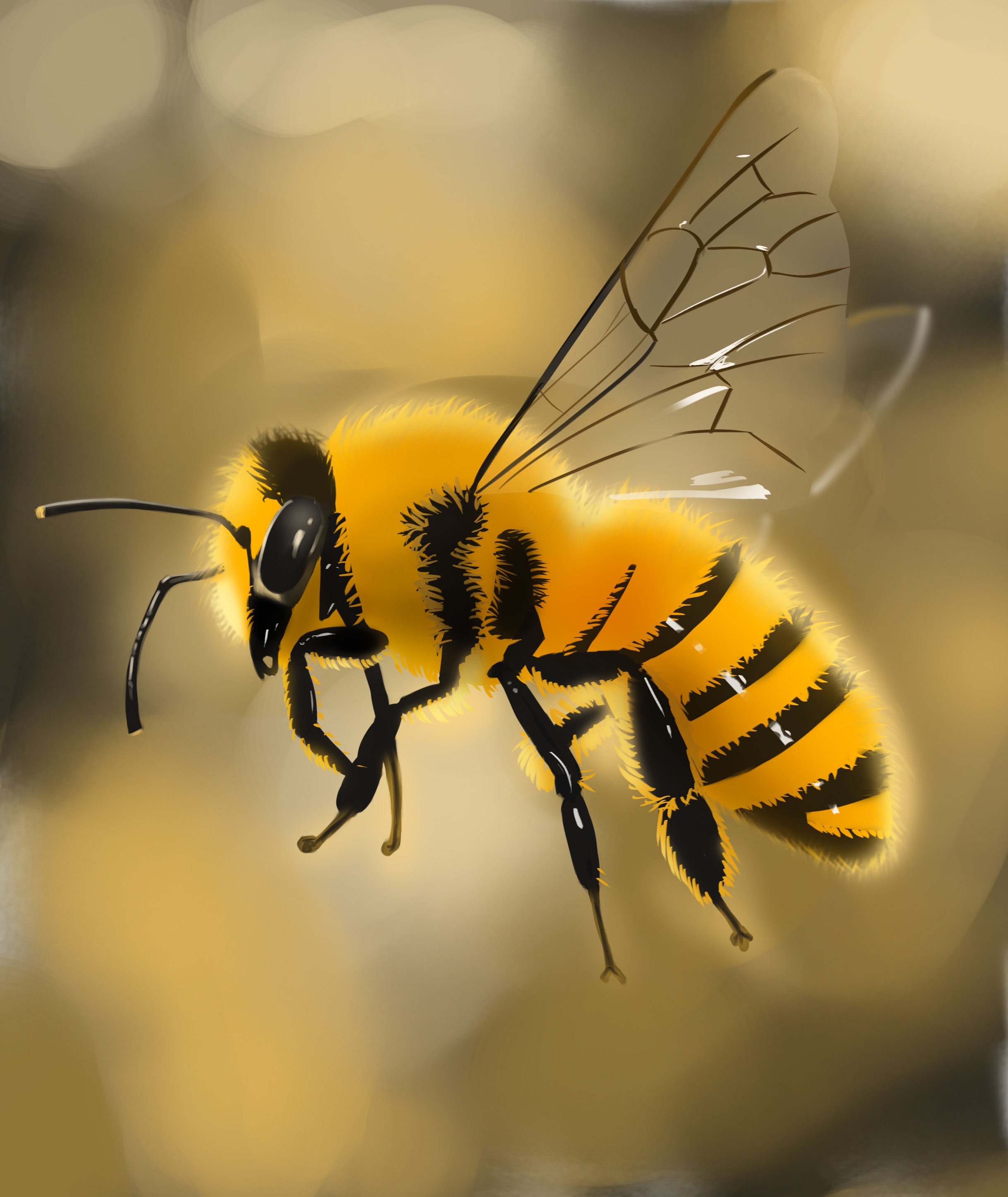 Bee monochrome par Walvyn