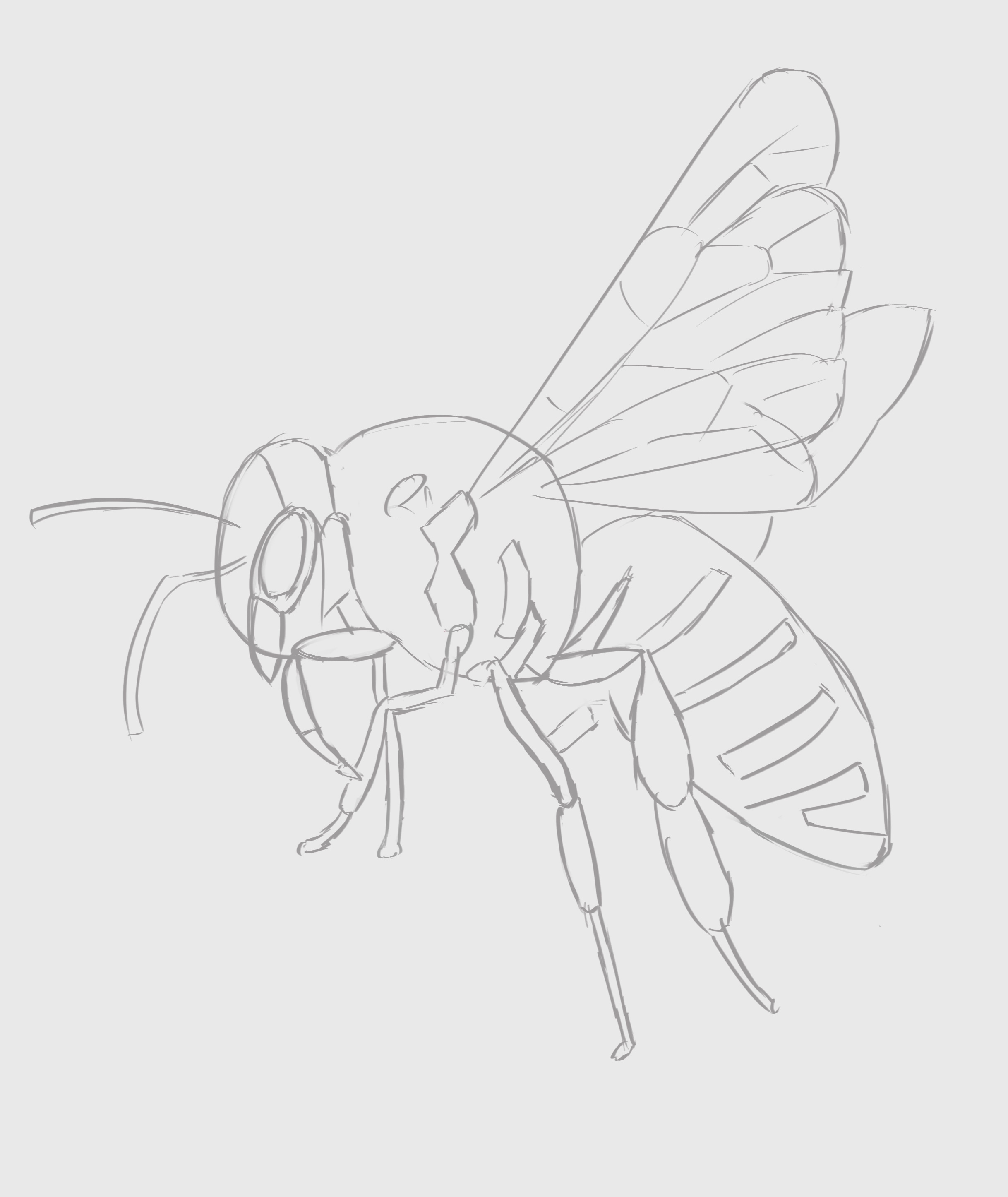 Bee monochrome par Walvyn