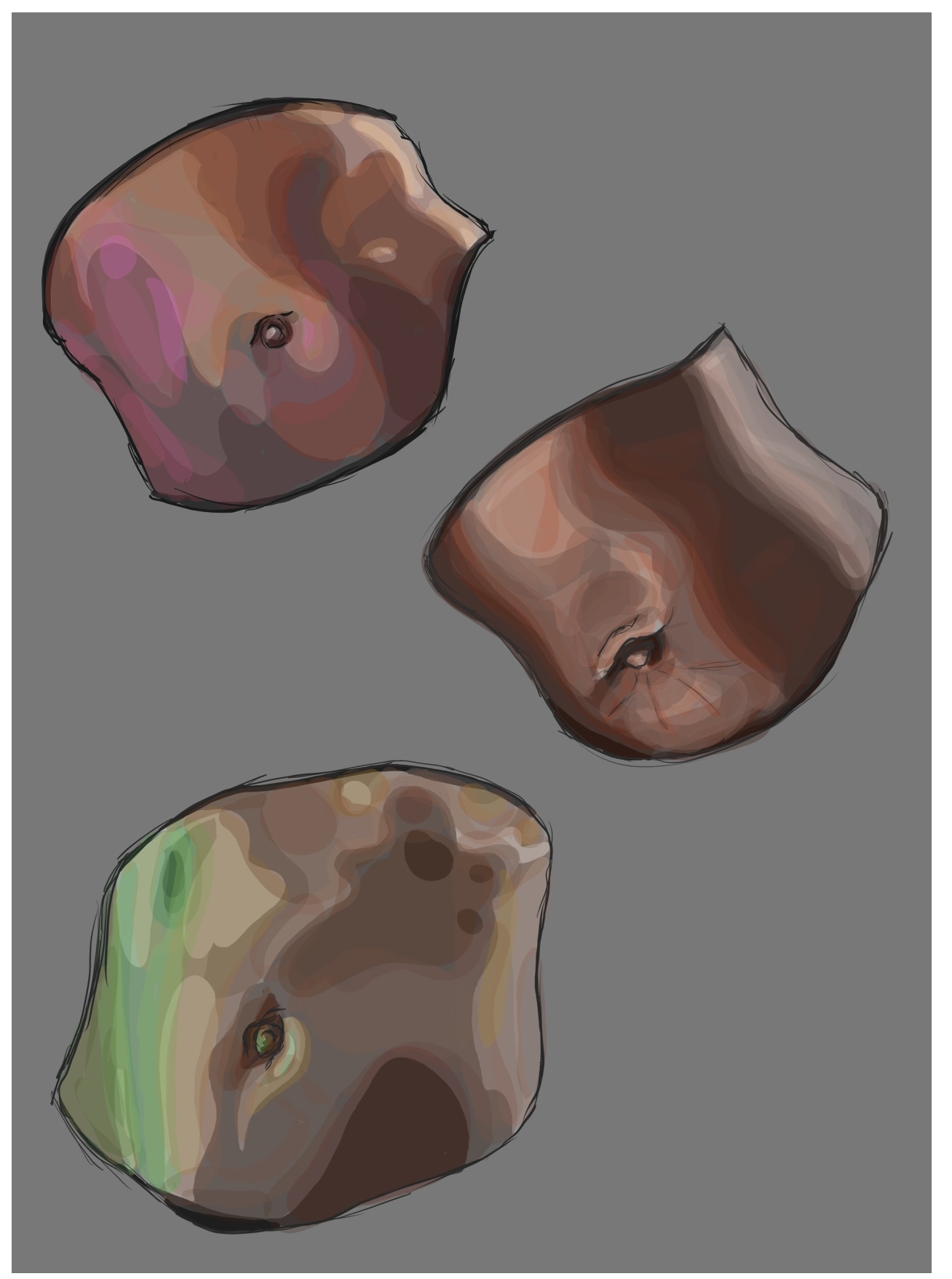 Ventres et poitrine - entraînement anatomie par tosh_5