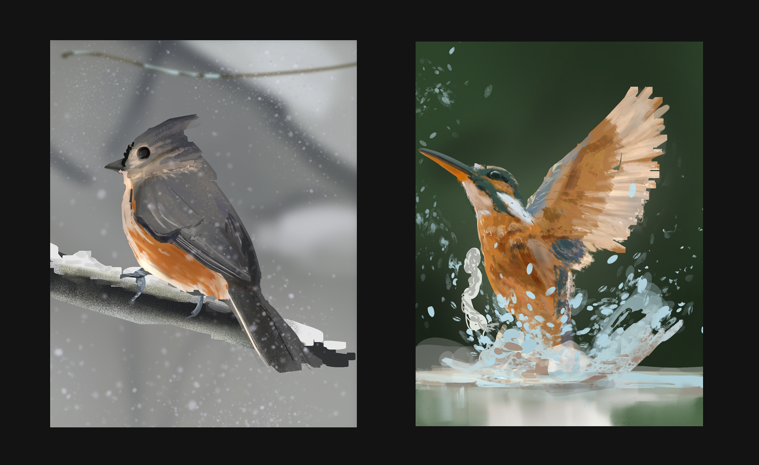bird-studies-1-6181a083.png