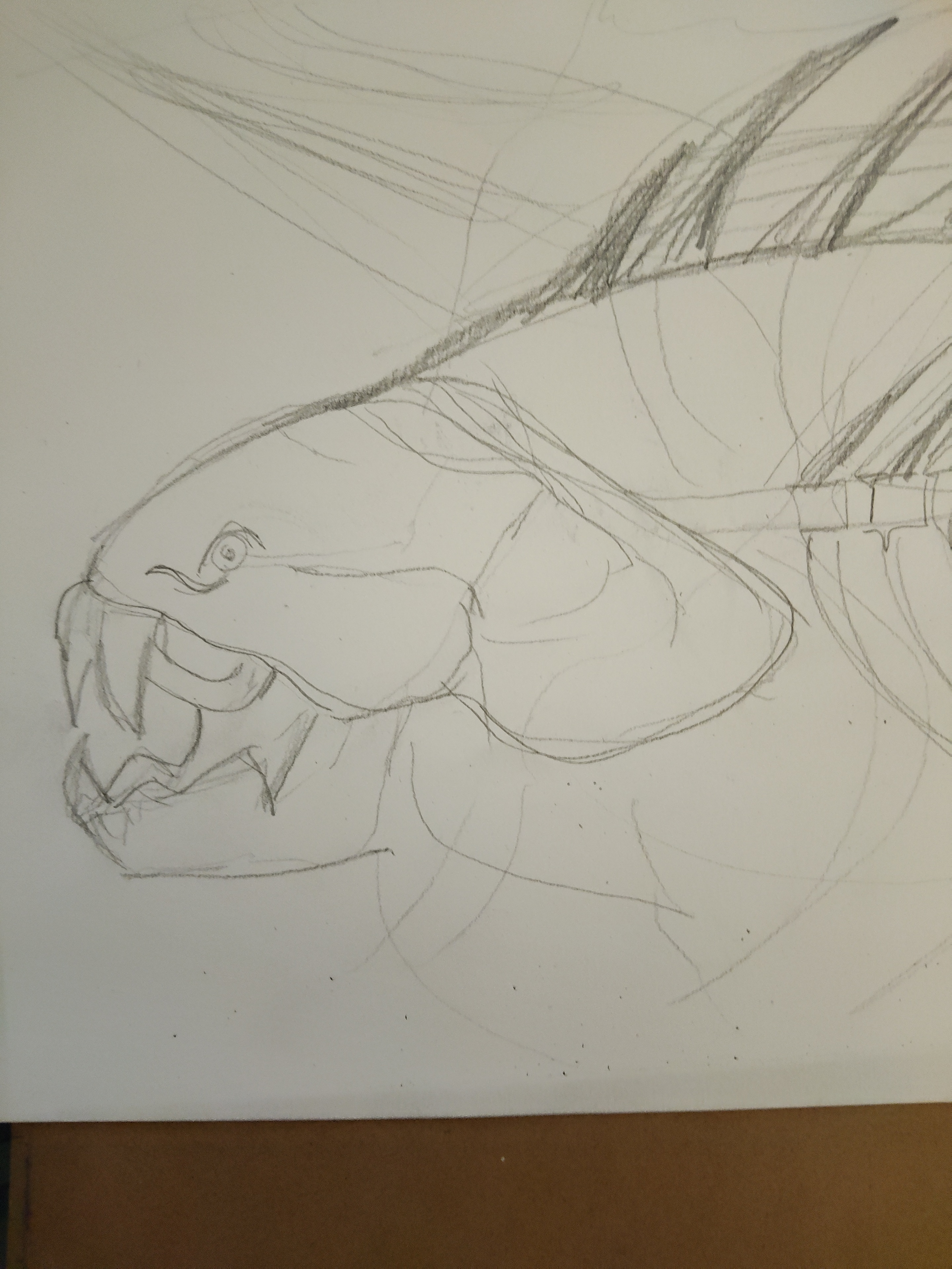 challenge pirates par Spec