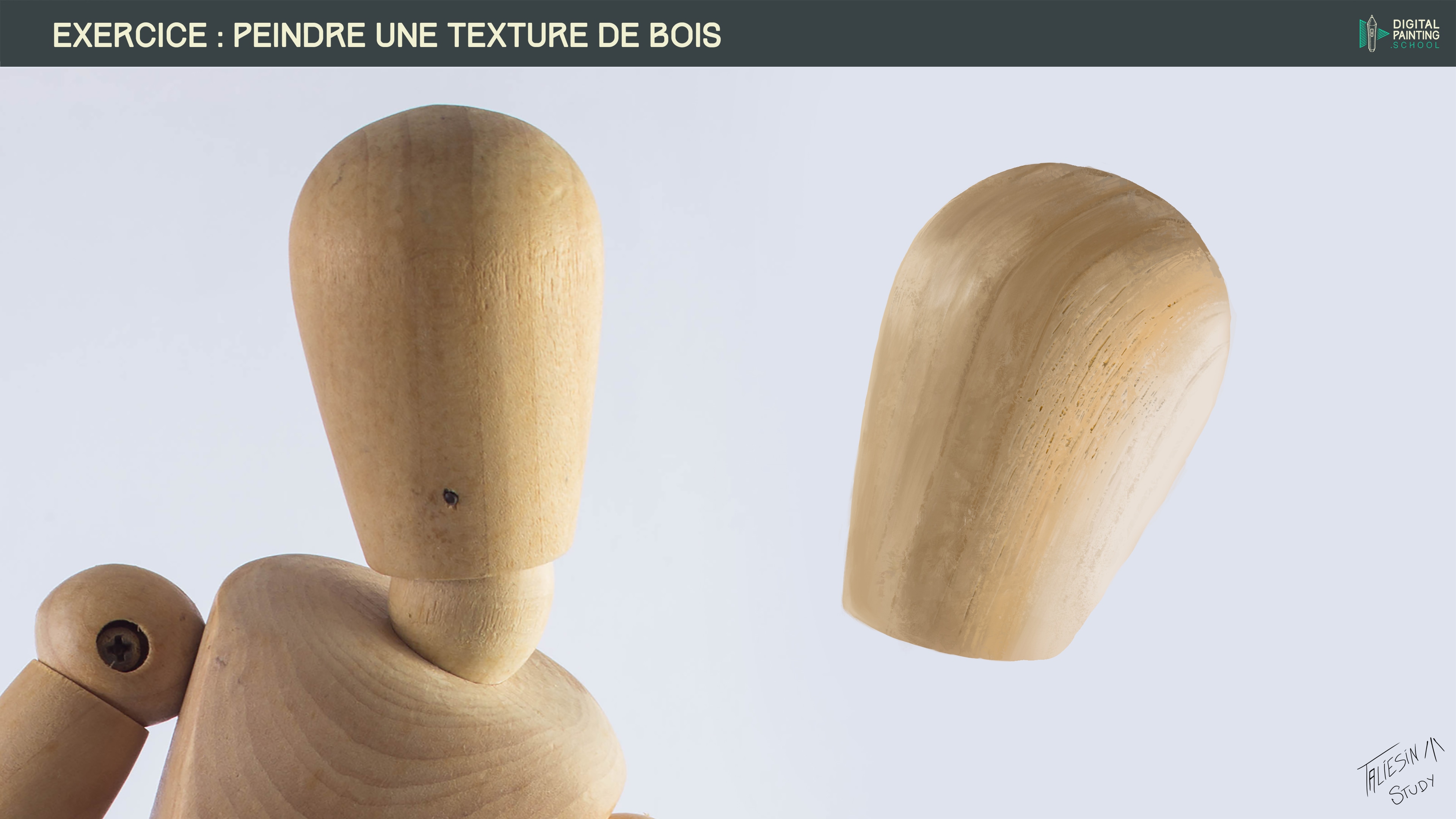 EXERCICE MATIERE : BOIS par Taliesin