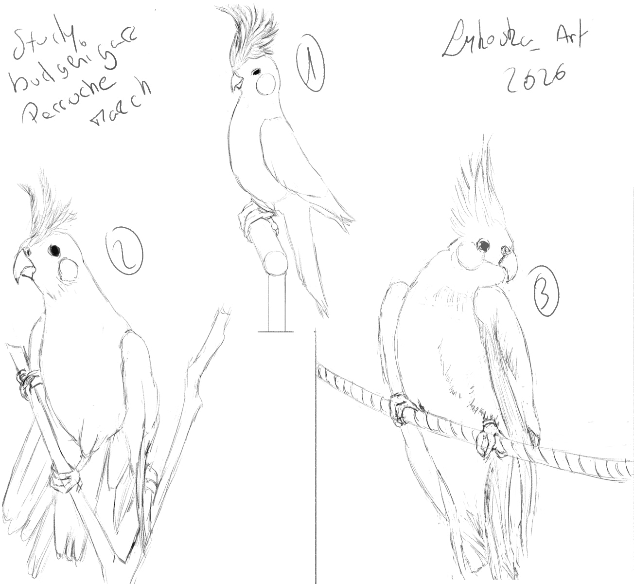 Exo mensuel du mois de mars 2026 par lykoska