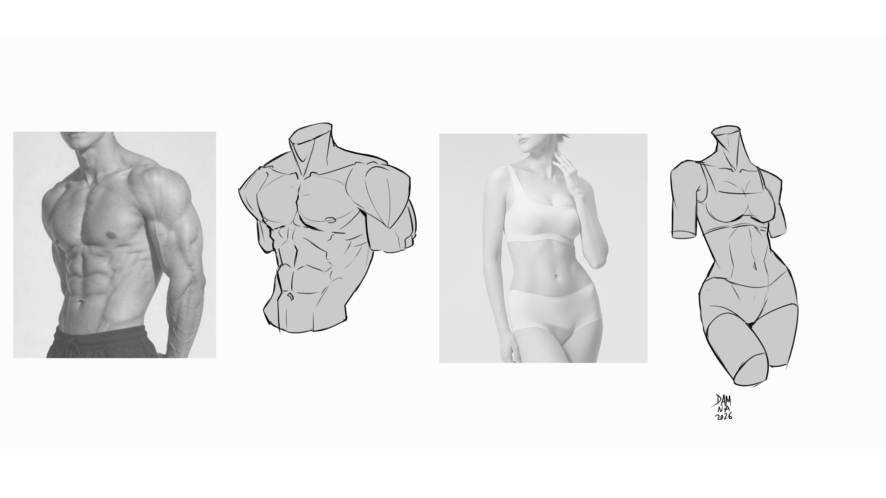 Etudes Anatomiques par Dam Na