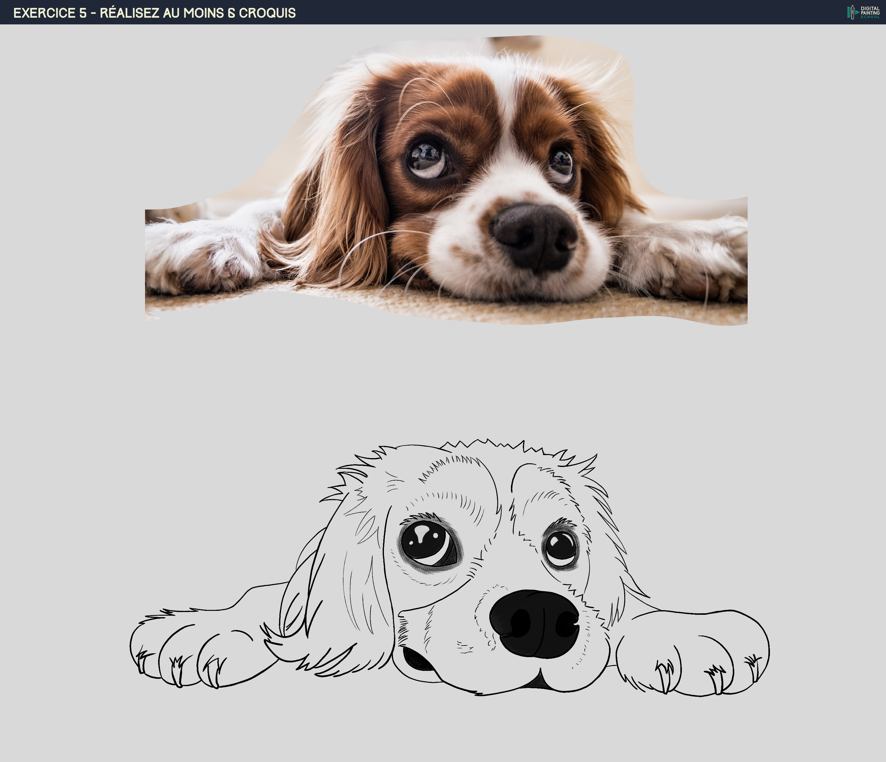 Programme indispensable - Partie 1 - Chapitre 1 - Exercice 5 - Le Chien par Walvyn