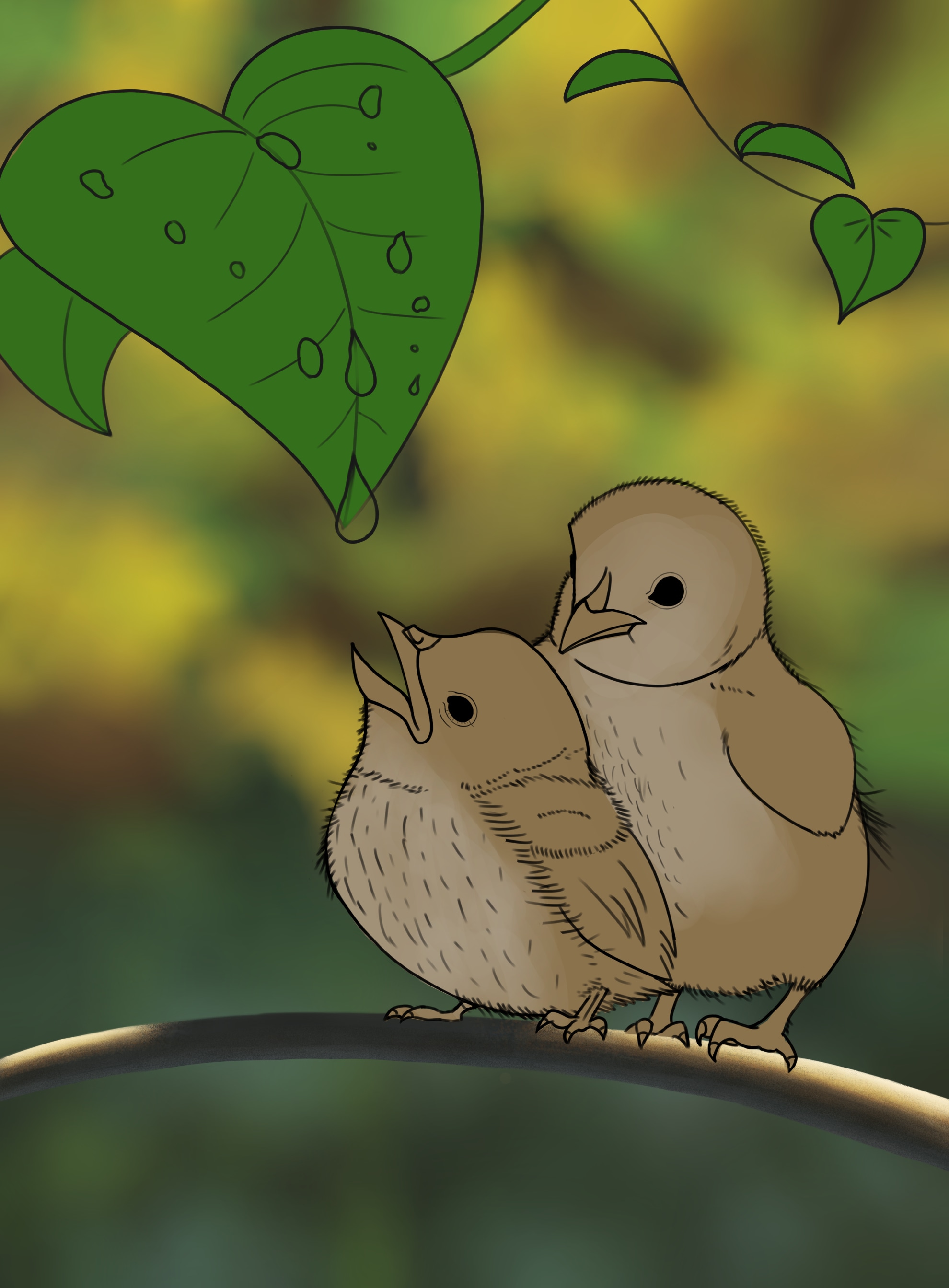 Programme indispensable - Partie 1 - Chapitre 2 - Exercice 6 - Oisillons par Walvyn