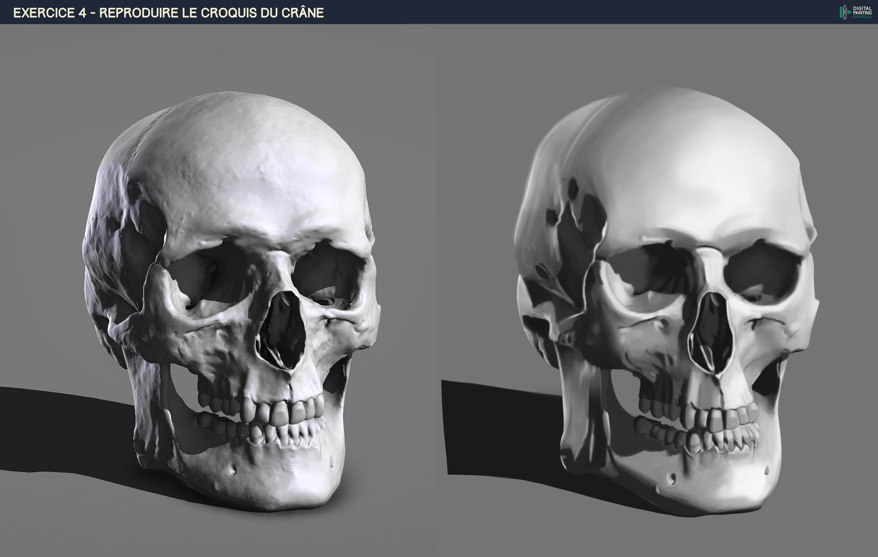 Programme indispensable - Partie 1 - Crâne par Walvyn