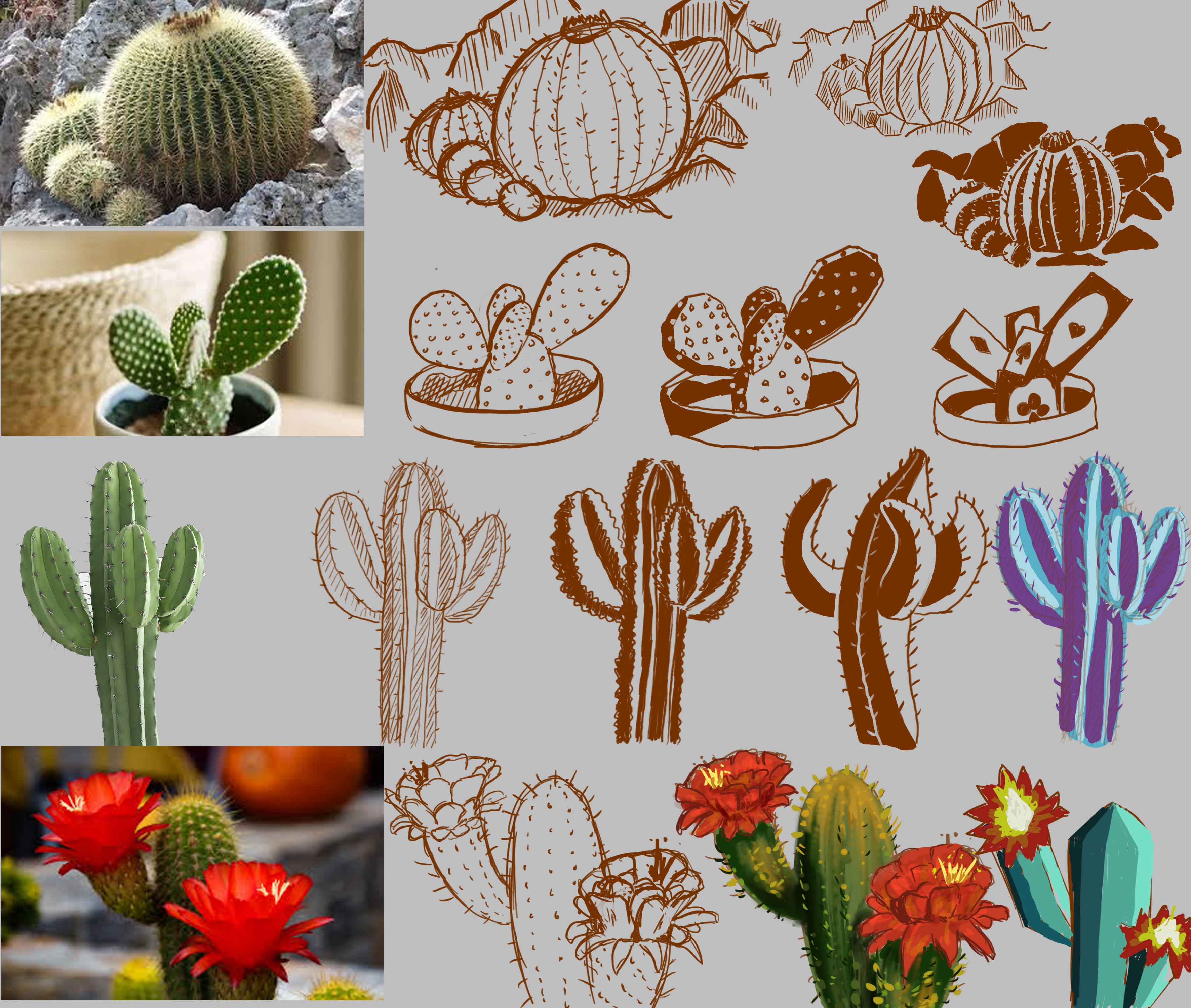 Mes cours 2nd partie 2023-2024 par nova