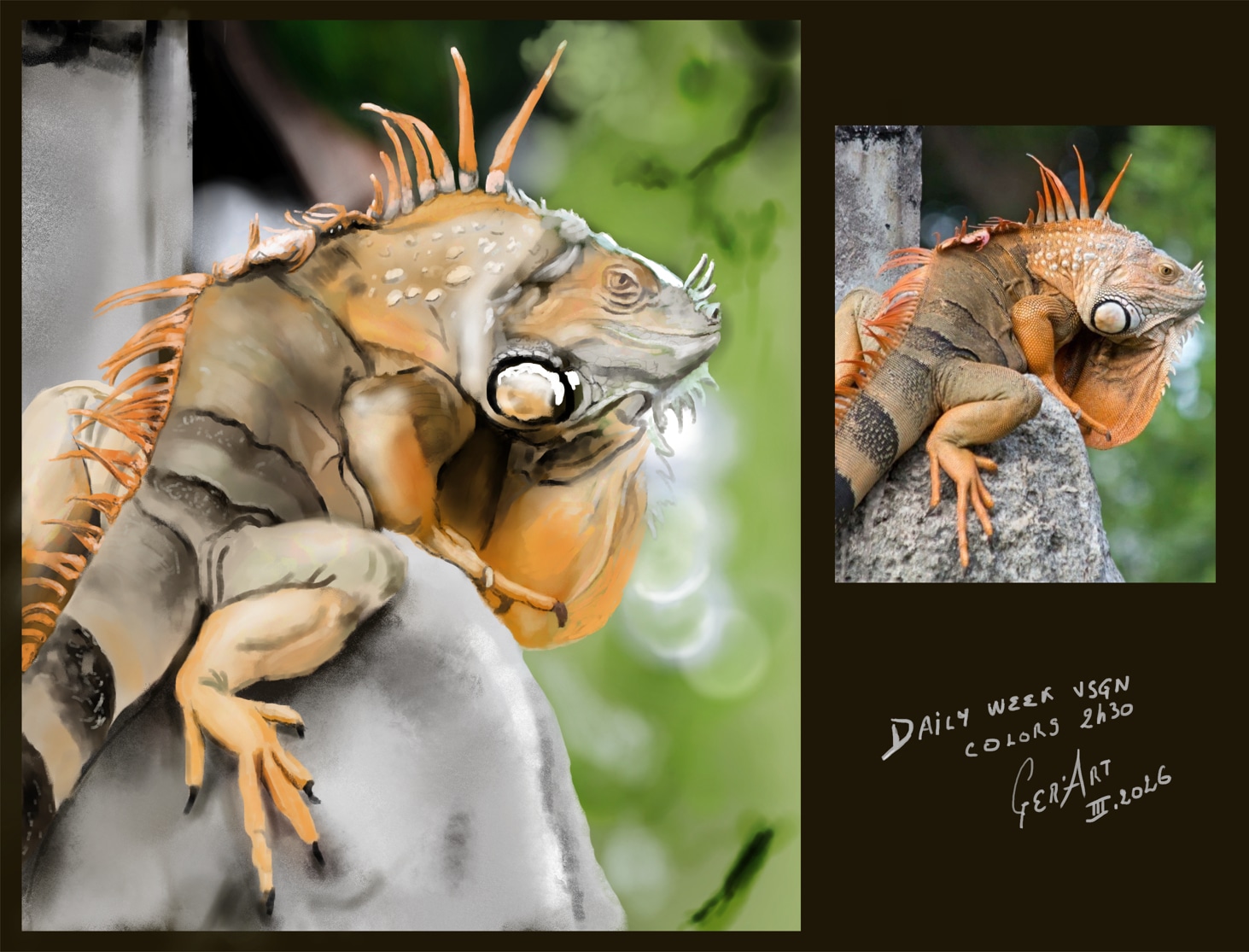 daily week cameleon couleurs par djeidjei