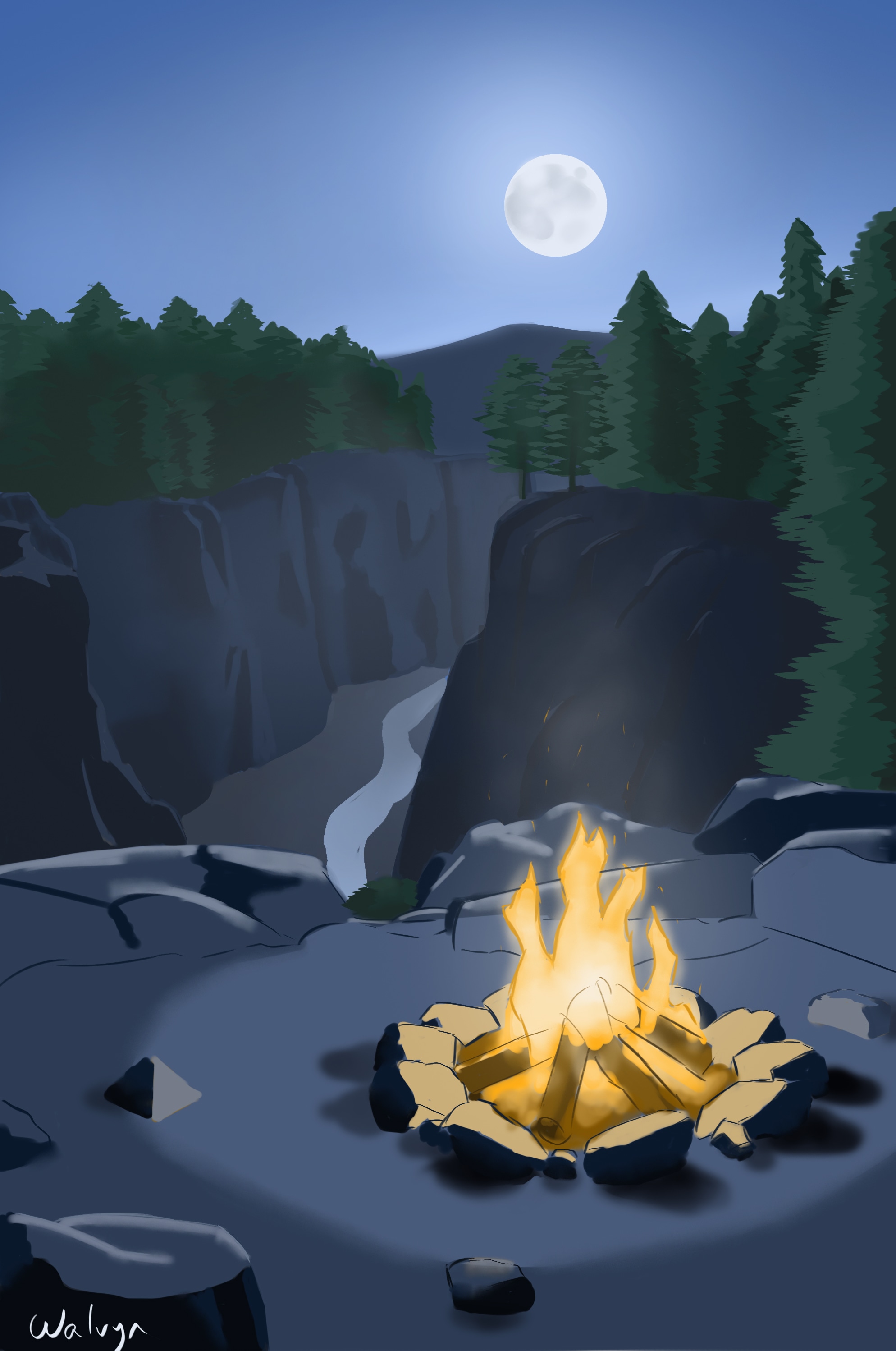 Feu de camp en montagne par Walvyn