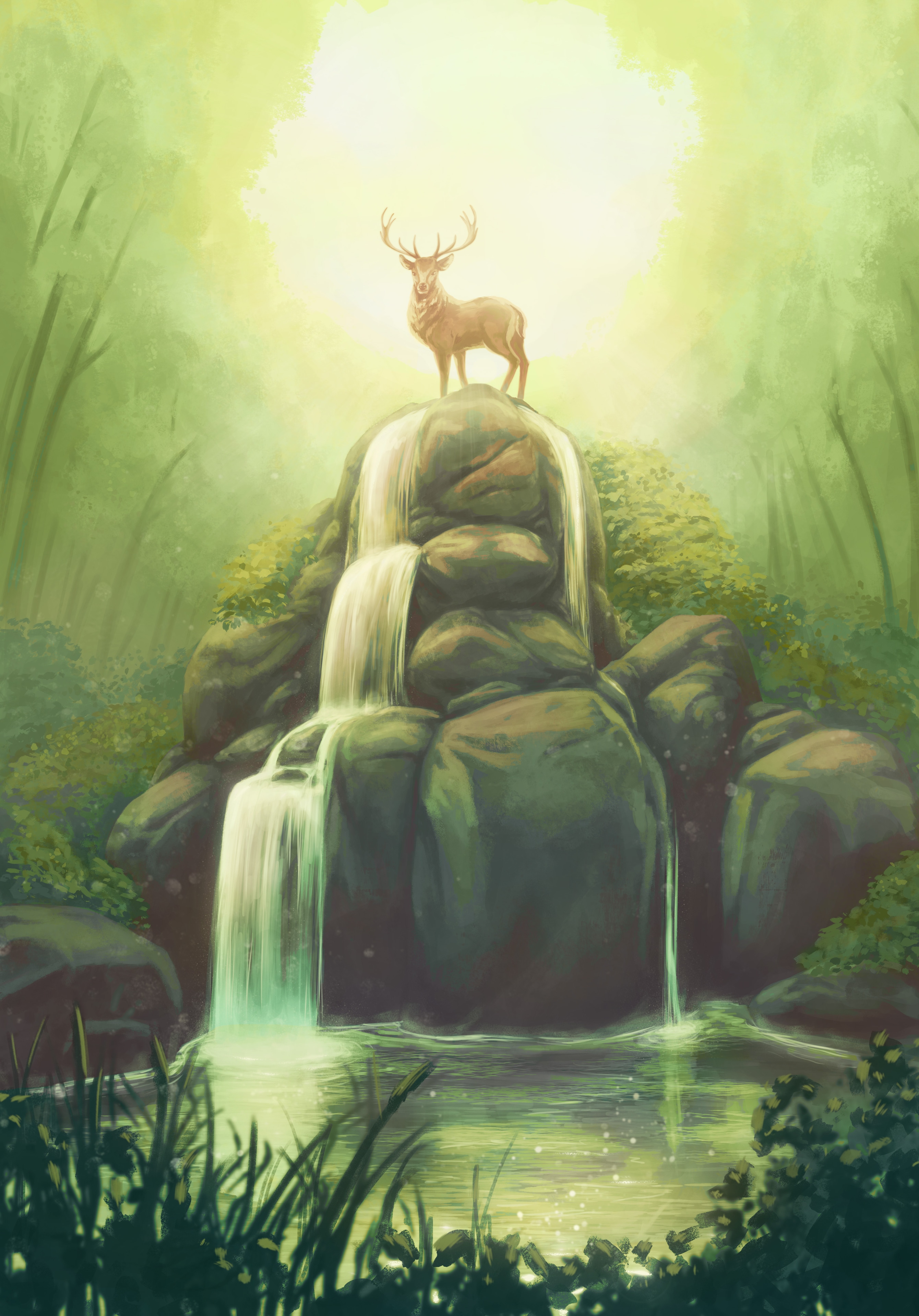 Cascade - Cerf par Digitalis