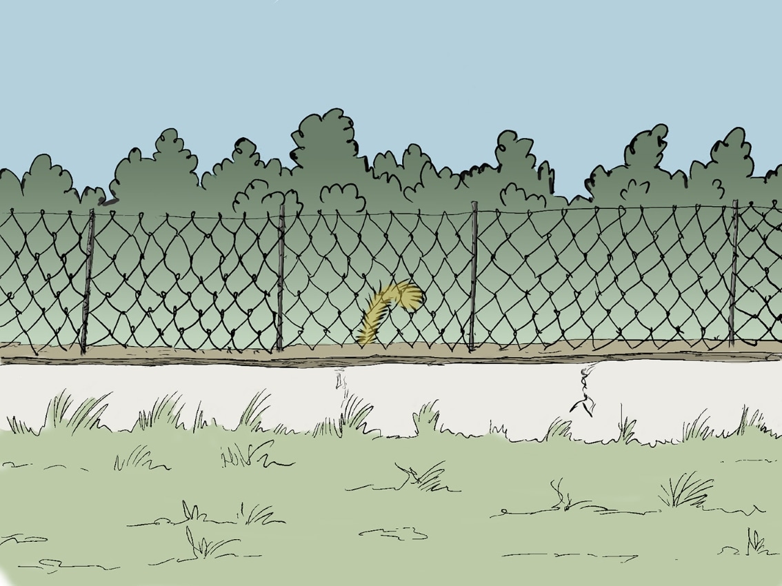 dernier strip rapide : chose vue l'autre soir. par mahartin