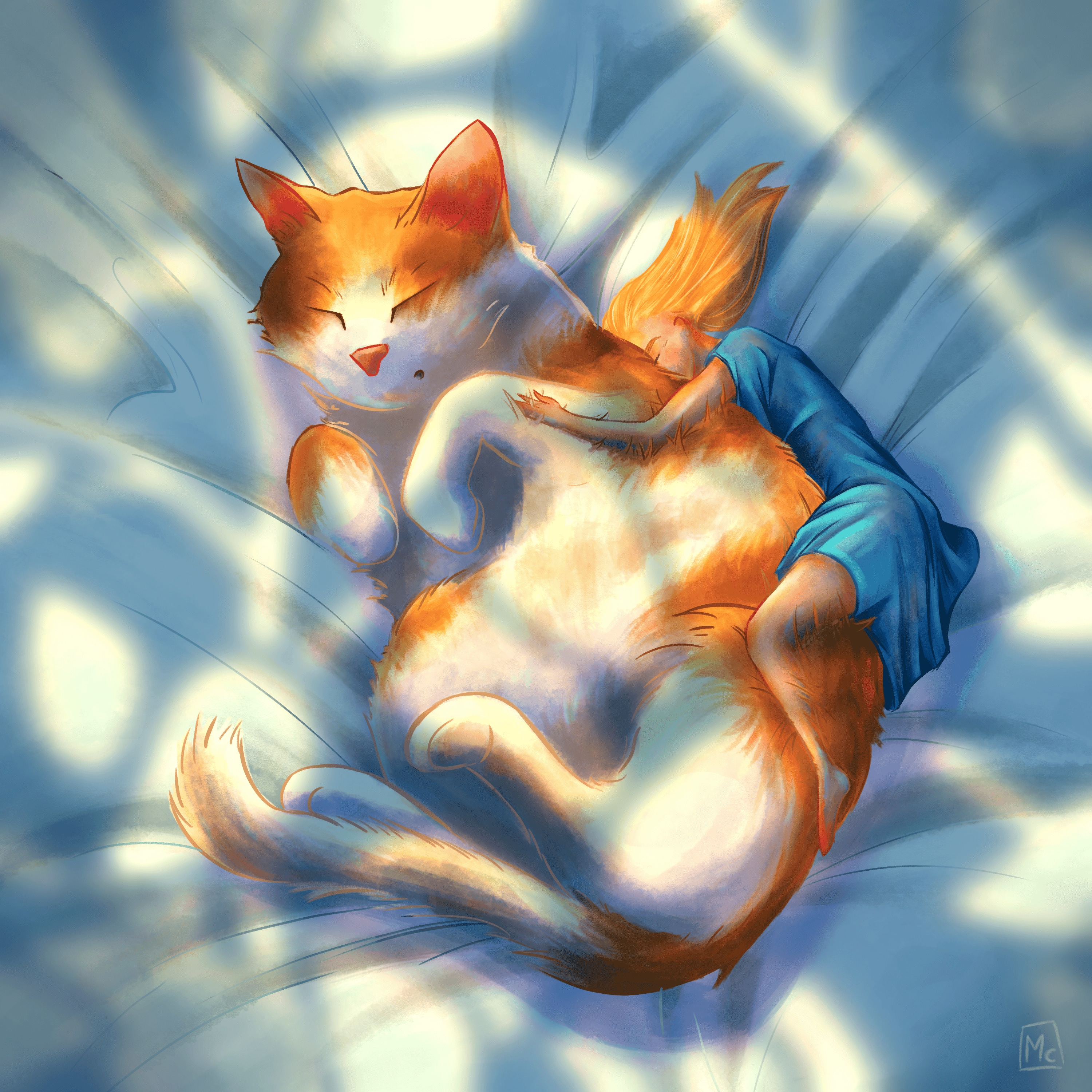 Cat Sleep par Leptitcarnet